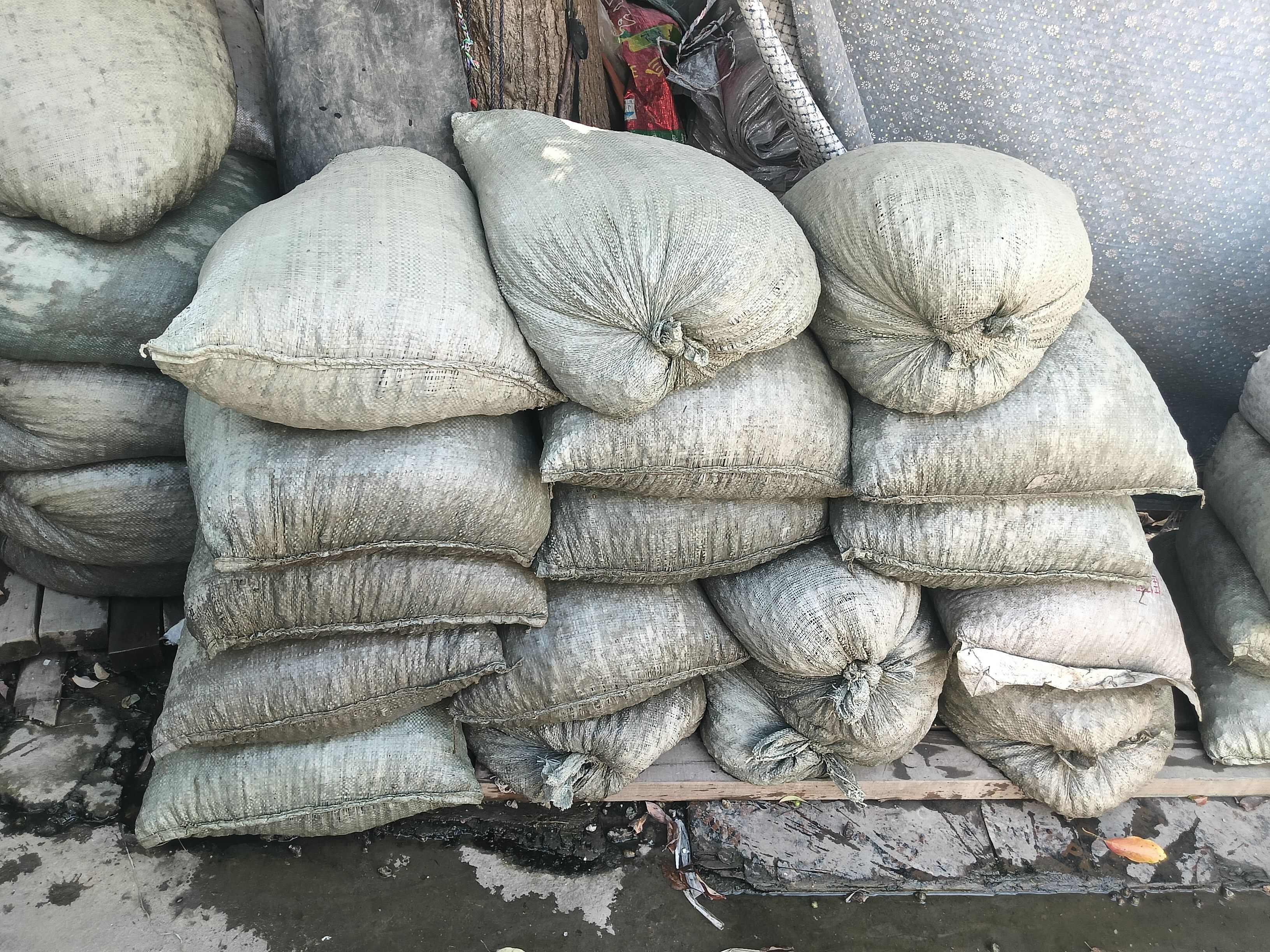 螺蛳，饲料螺批发！ 喂螃蟹，蚂蝗，青鱼