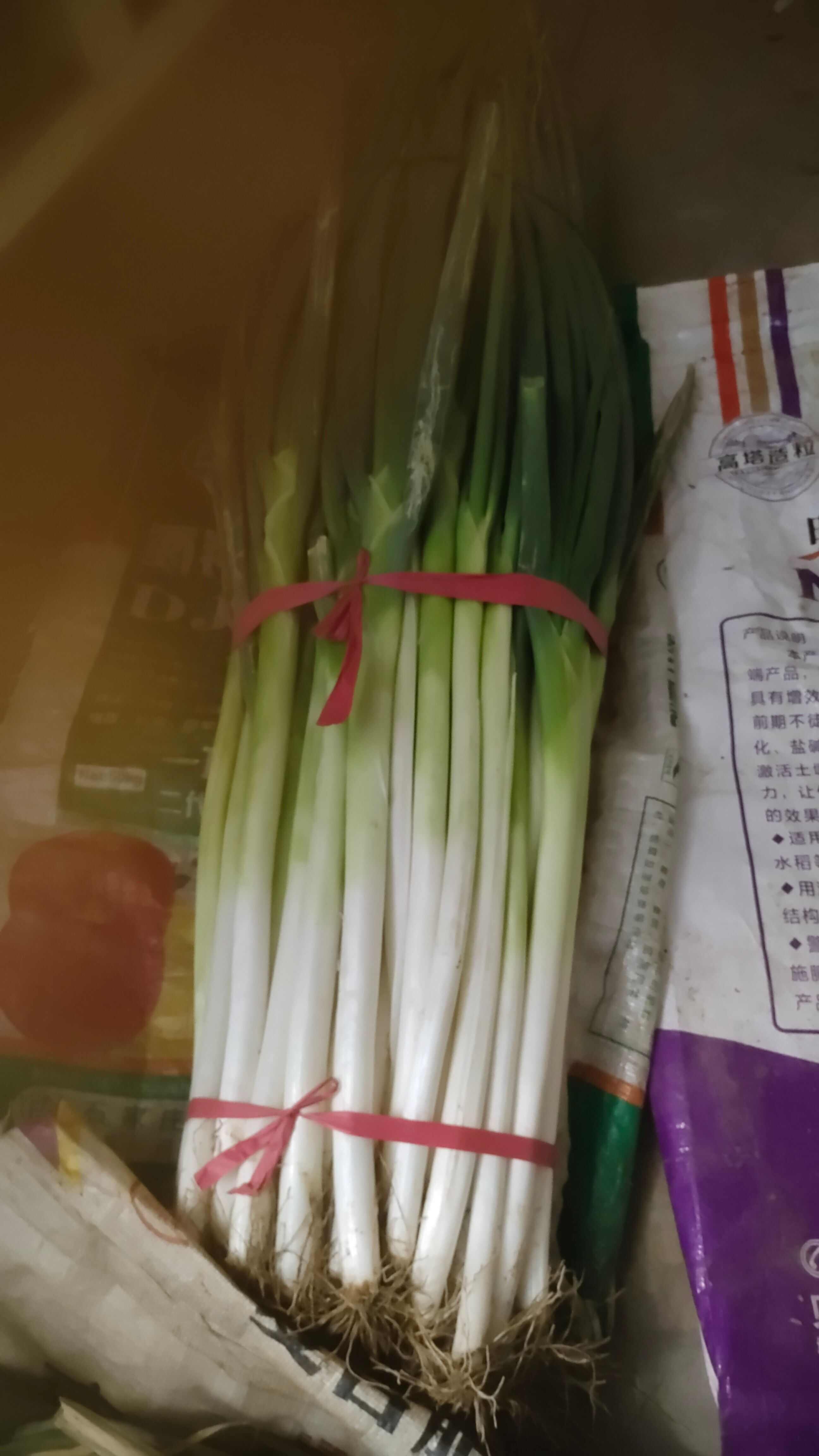 本大葱为铁杆大葱，口感好，脆甜口，