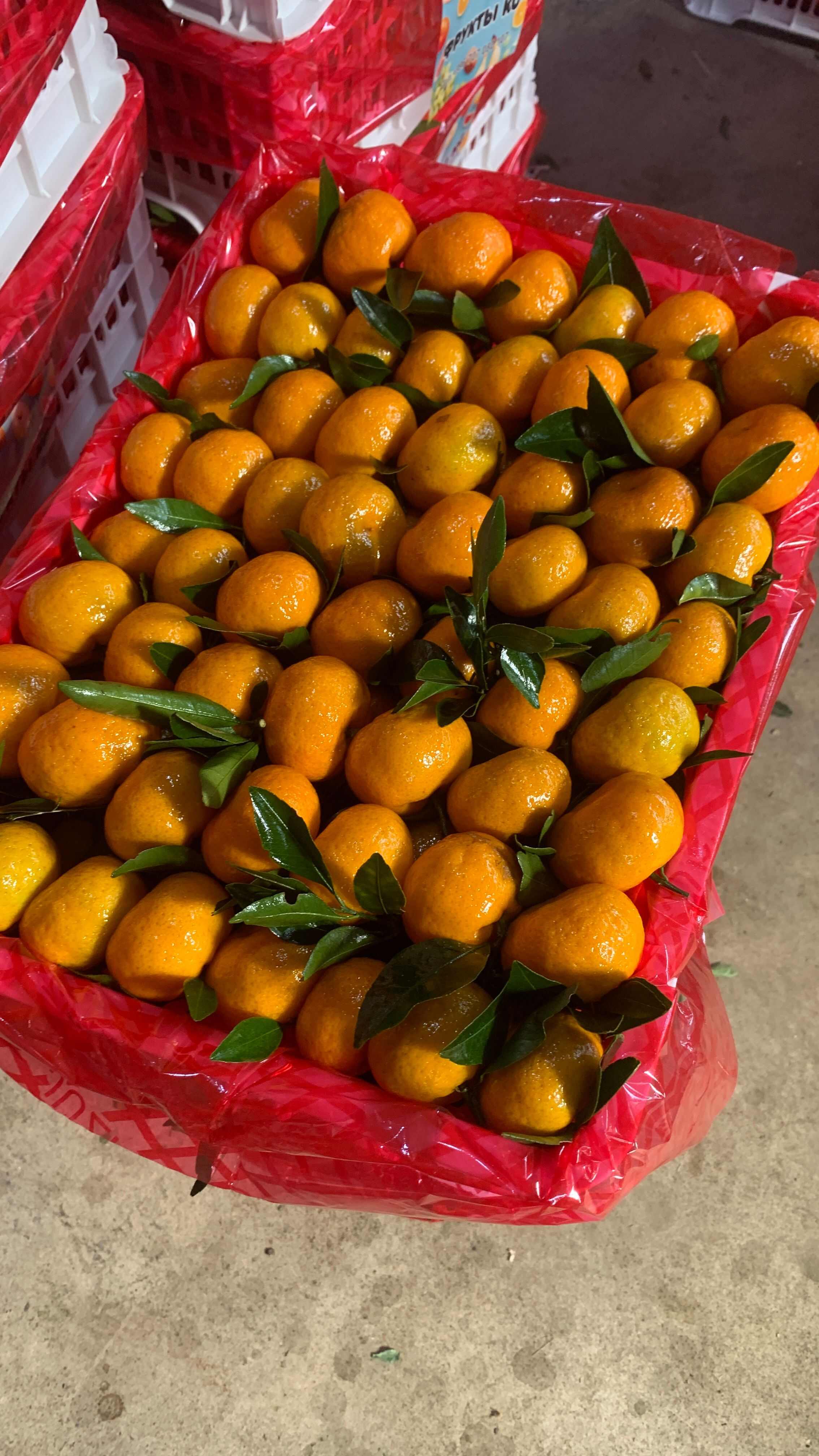 南丰小蜜橘外贸出口中亚国家俄罗斯哈萨克斯坦！多年经验货源足