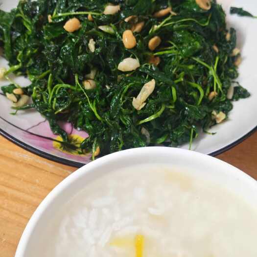 汕头潮汕特产 新鲜脱水麻叶菜 半成品 杂咸 （新麻仔）种植地批发