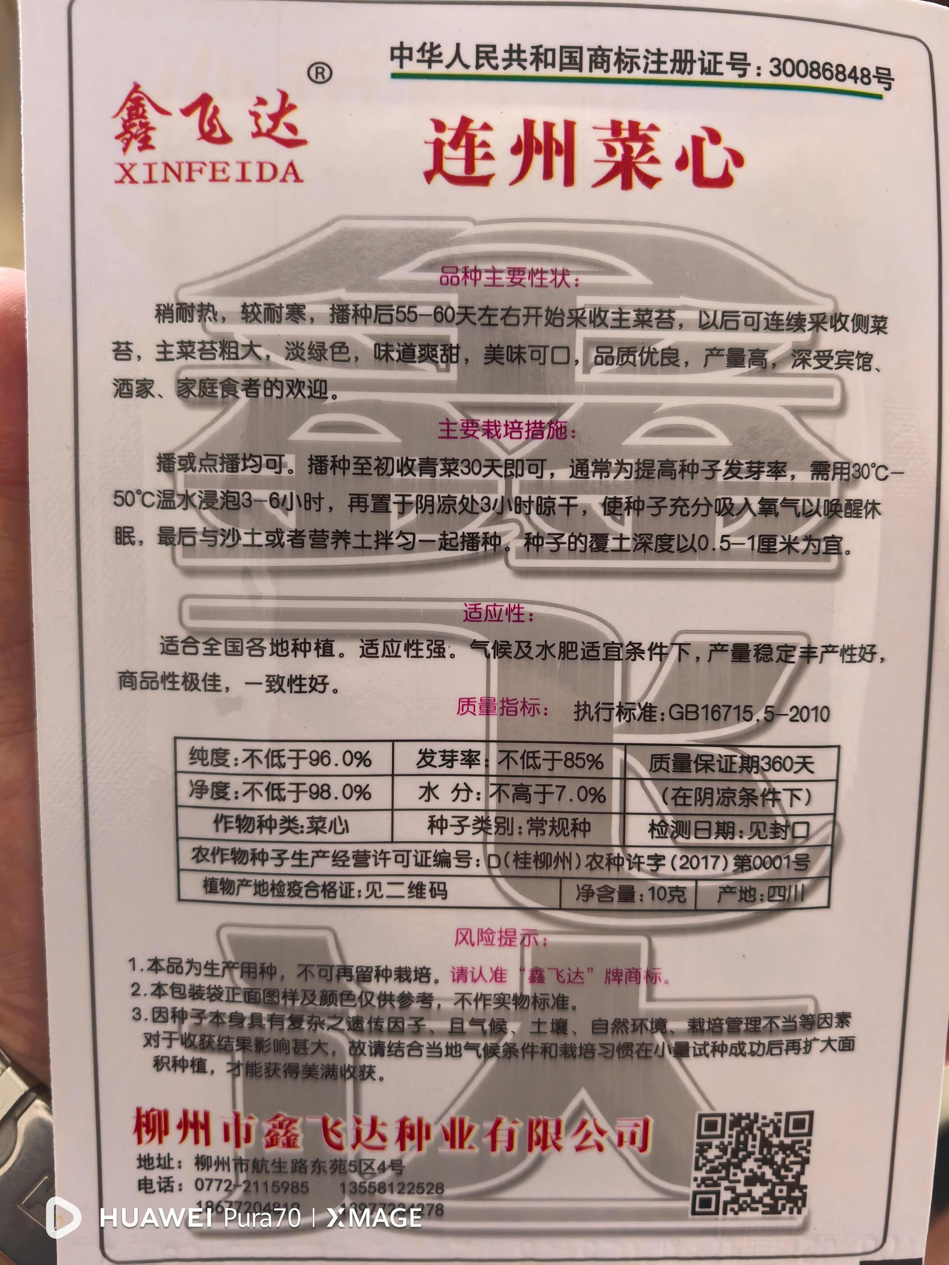 连州菜心种子秋冬季种植高产蔬菜种子大全