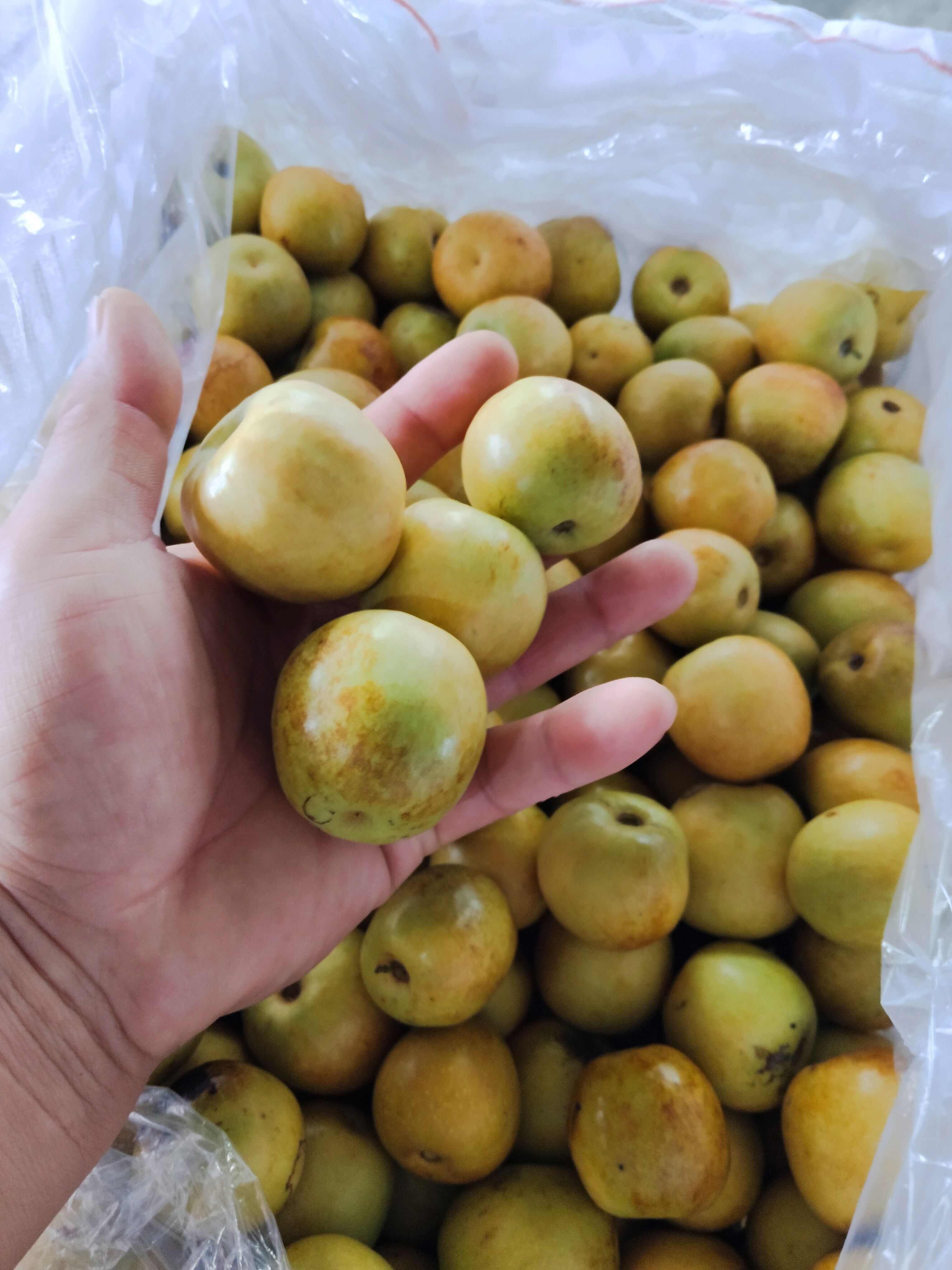 冬枣，皮薄水多甜度高