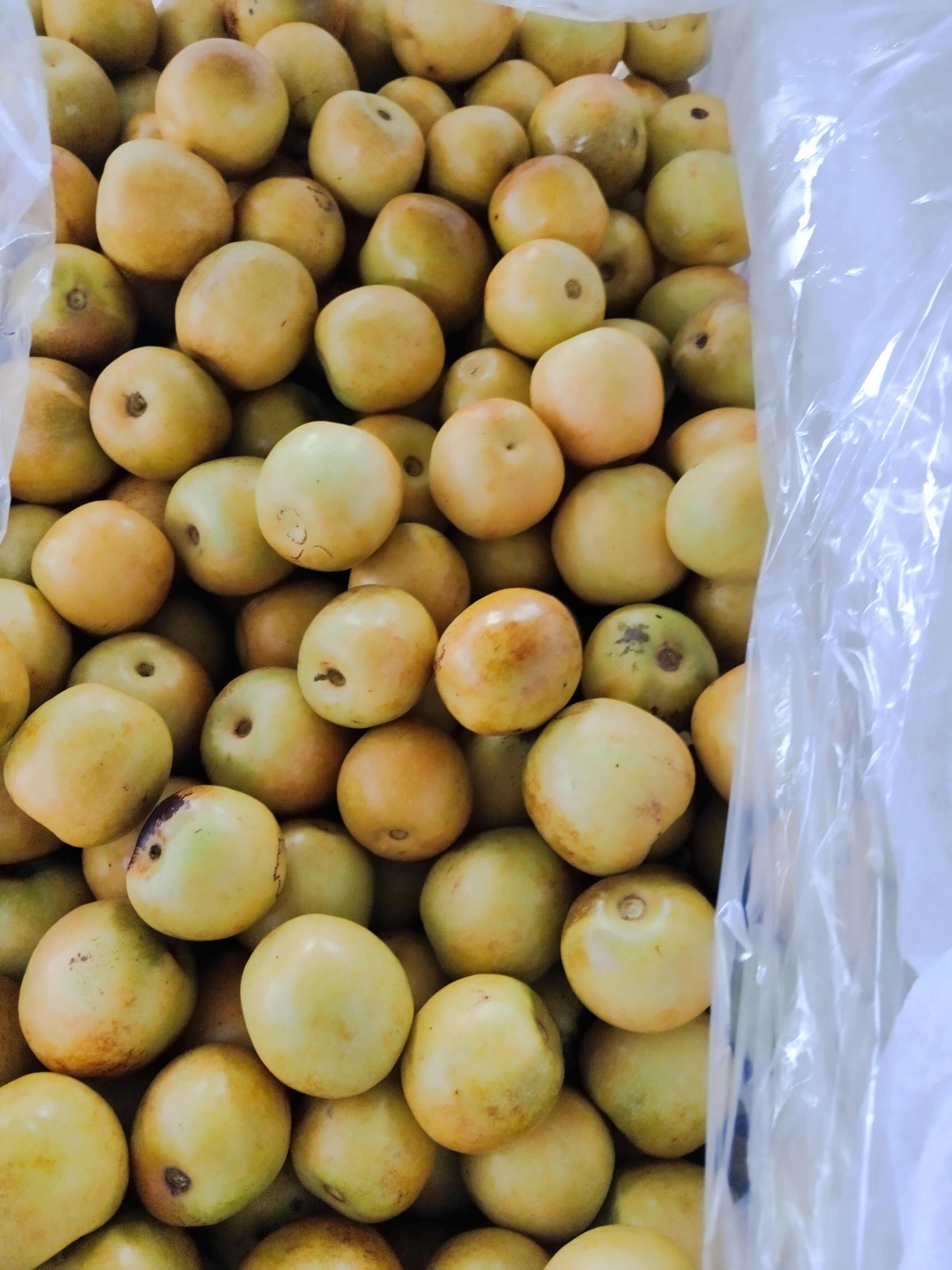 冬枣，皮薄水多甜度高