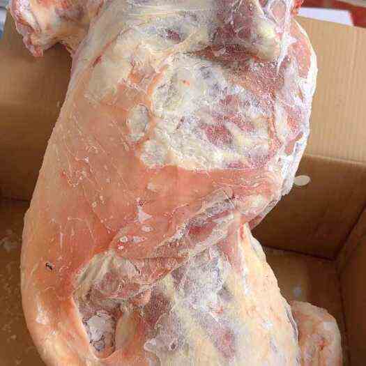 同心县羊肉