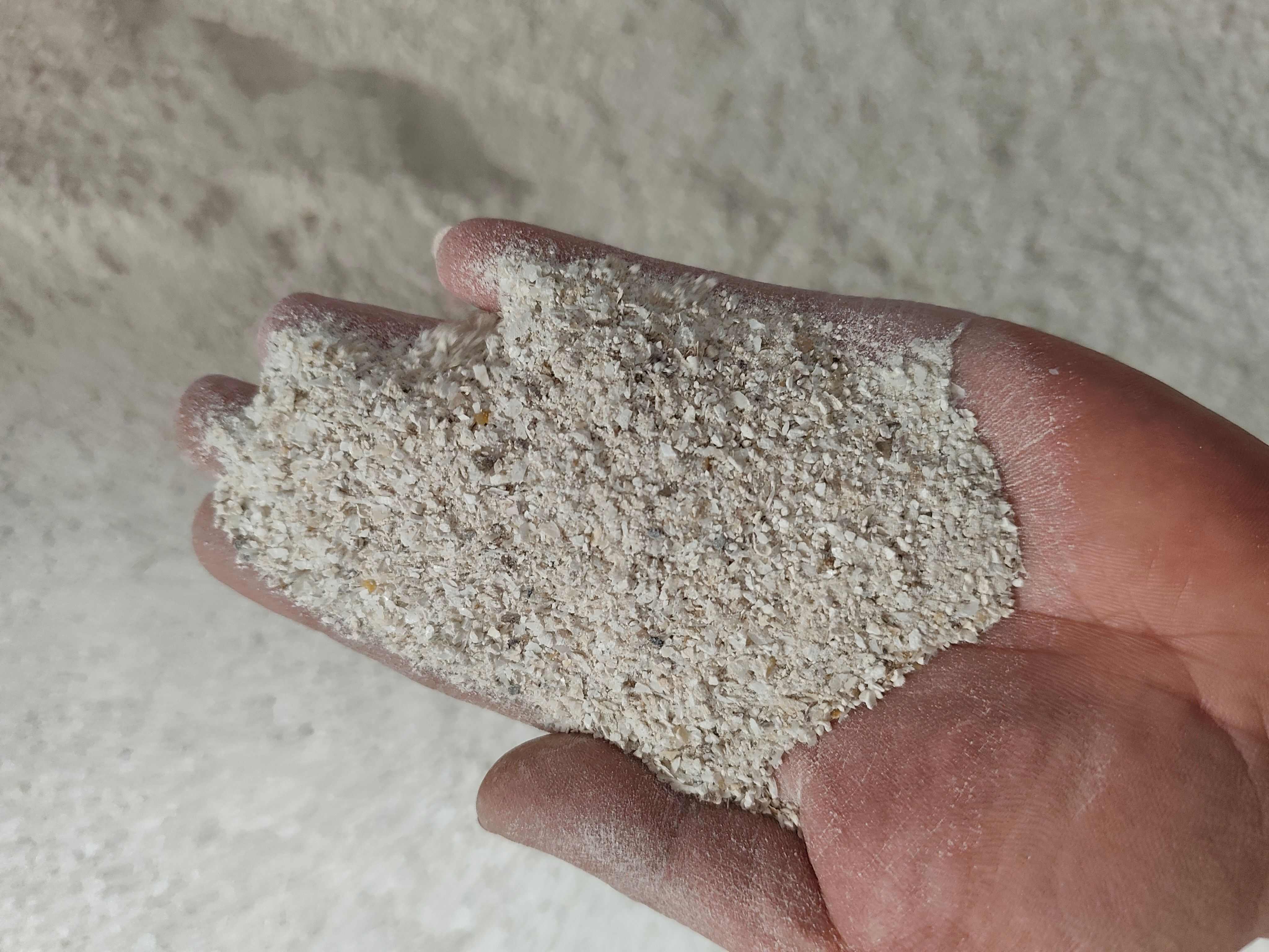连云港赣榆贝壳粉 畜禽水产通用矿物质饲料