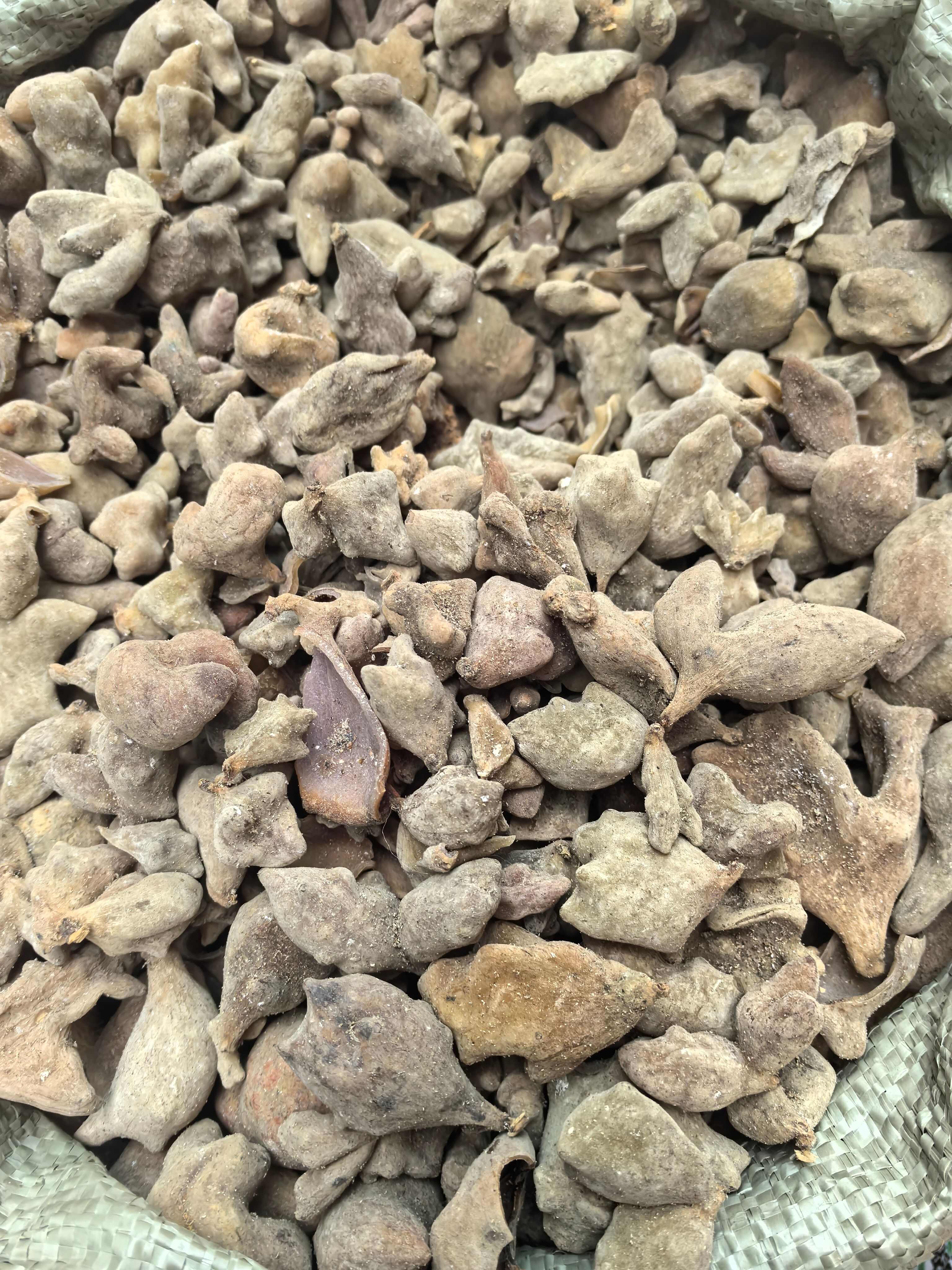 五倍子 花倍 独角倍【假一赔十】