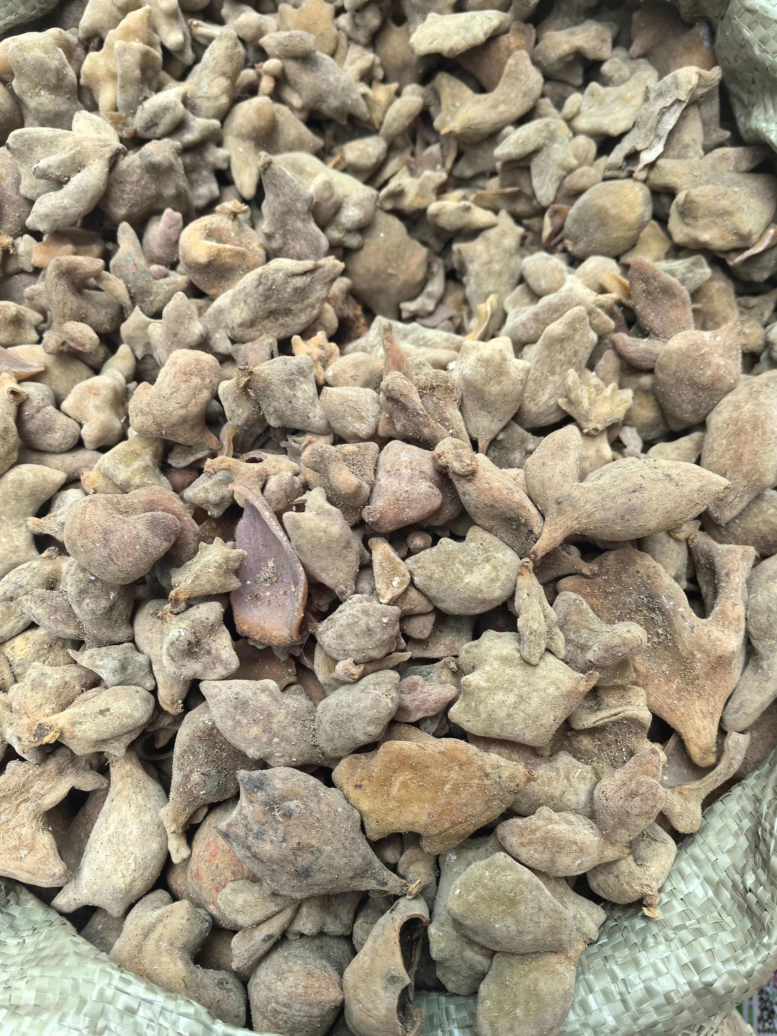 五倍子 花倍 独角倍【假一赔十】
