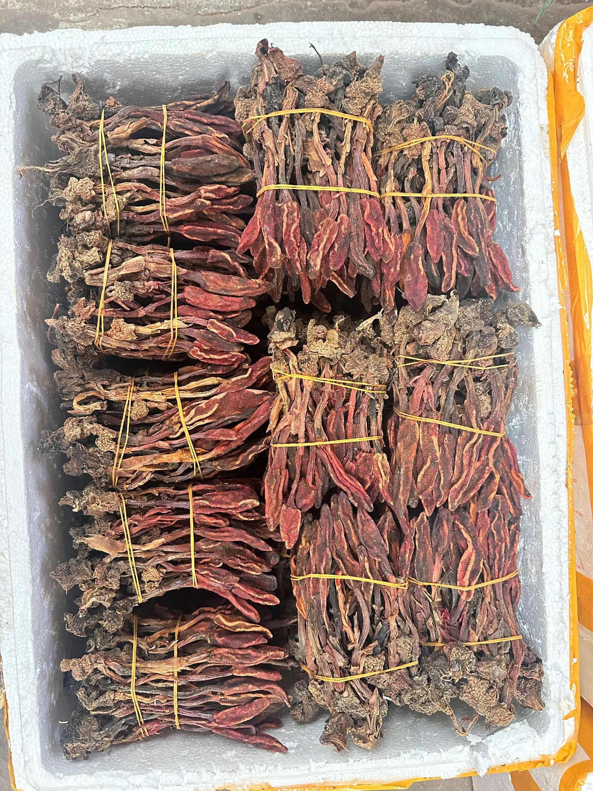 回春草，品质好，颜色好