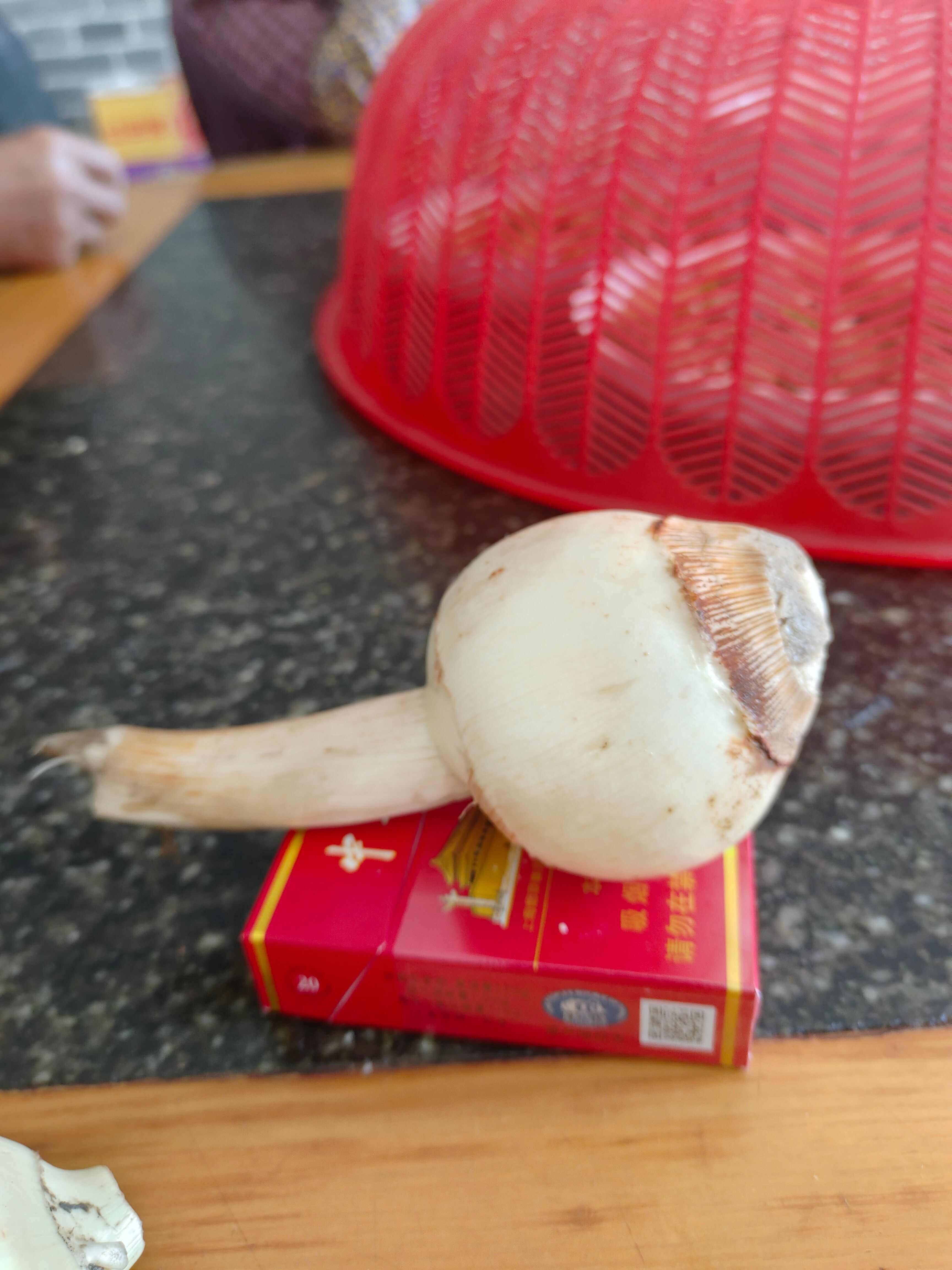 宝应慈姑