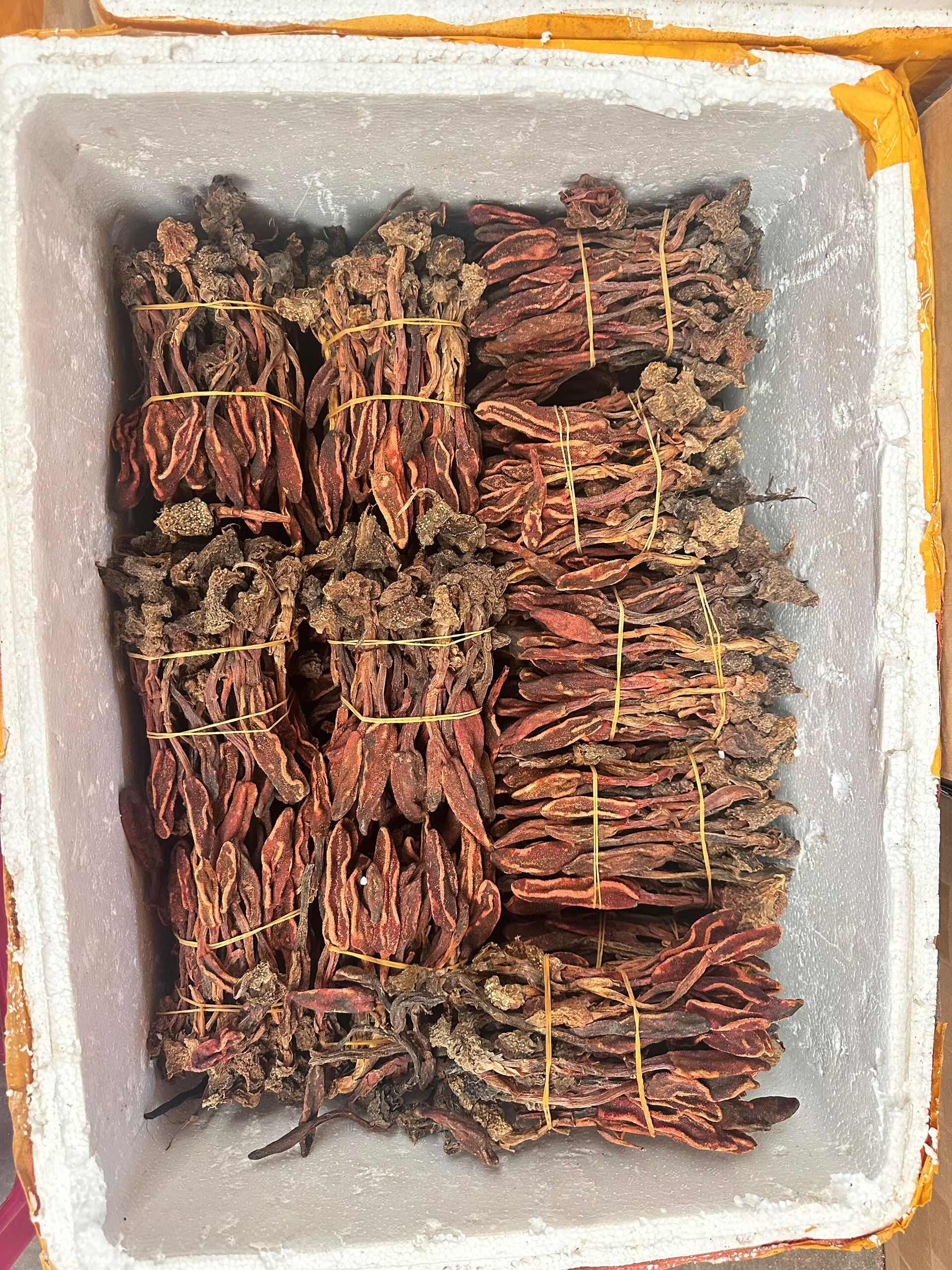 回春草，品质好，颜色好