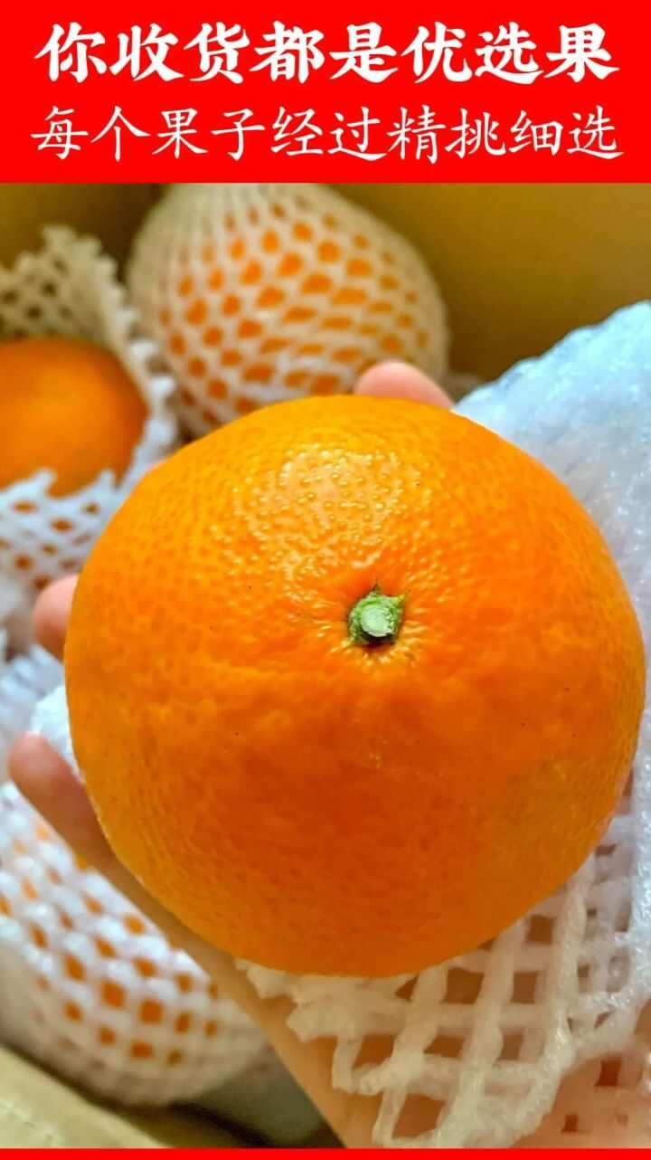 〖现货〗四川爱媛38号果冻橙手剥橙子皮薄多汁柑橘果肉细腻清甜