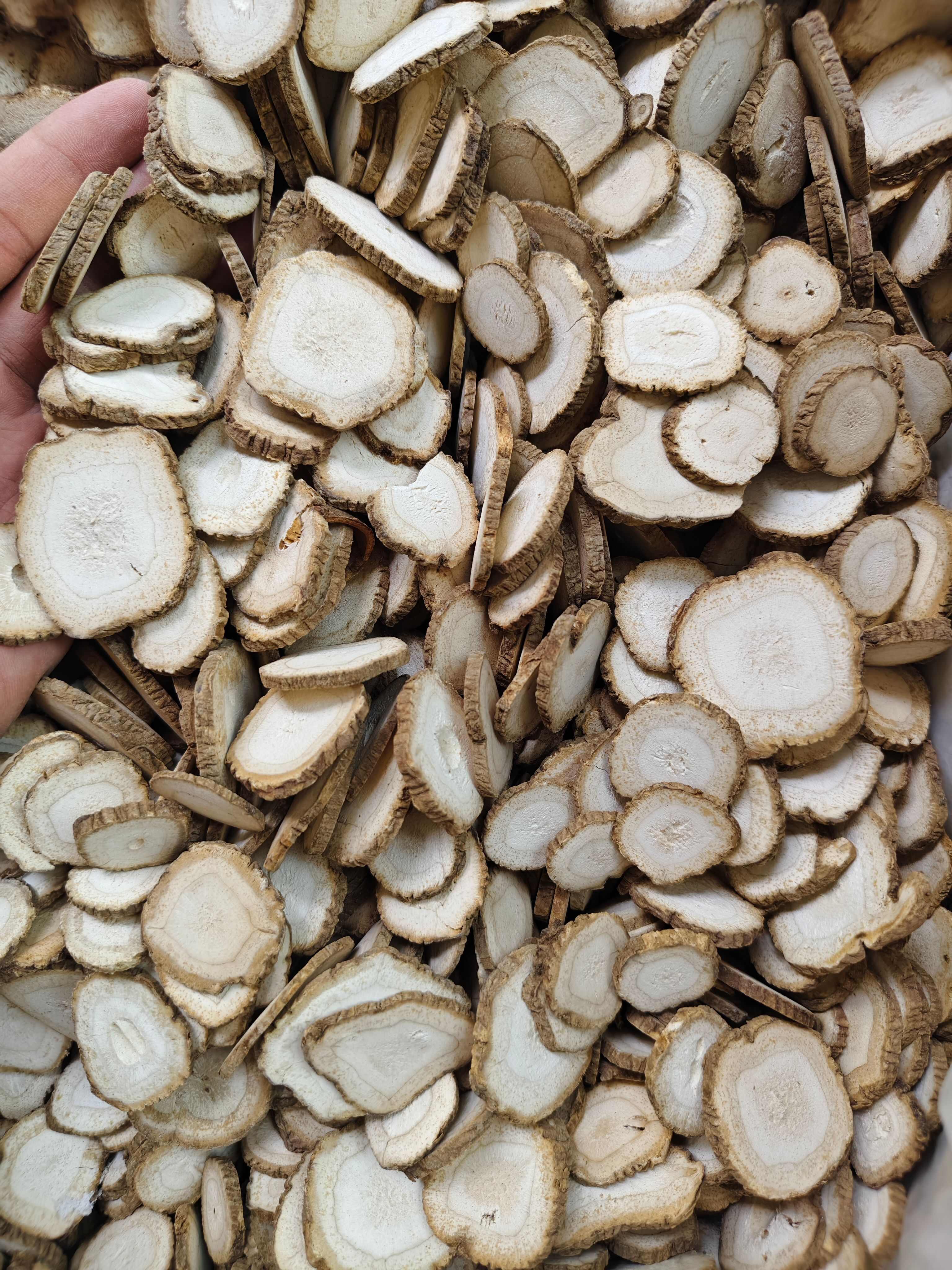 川白芷 各种规格川白芷个子 川白芷切片 批发零售