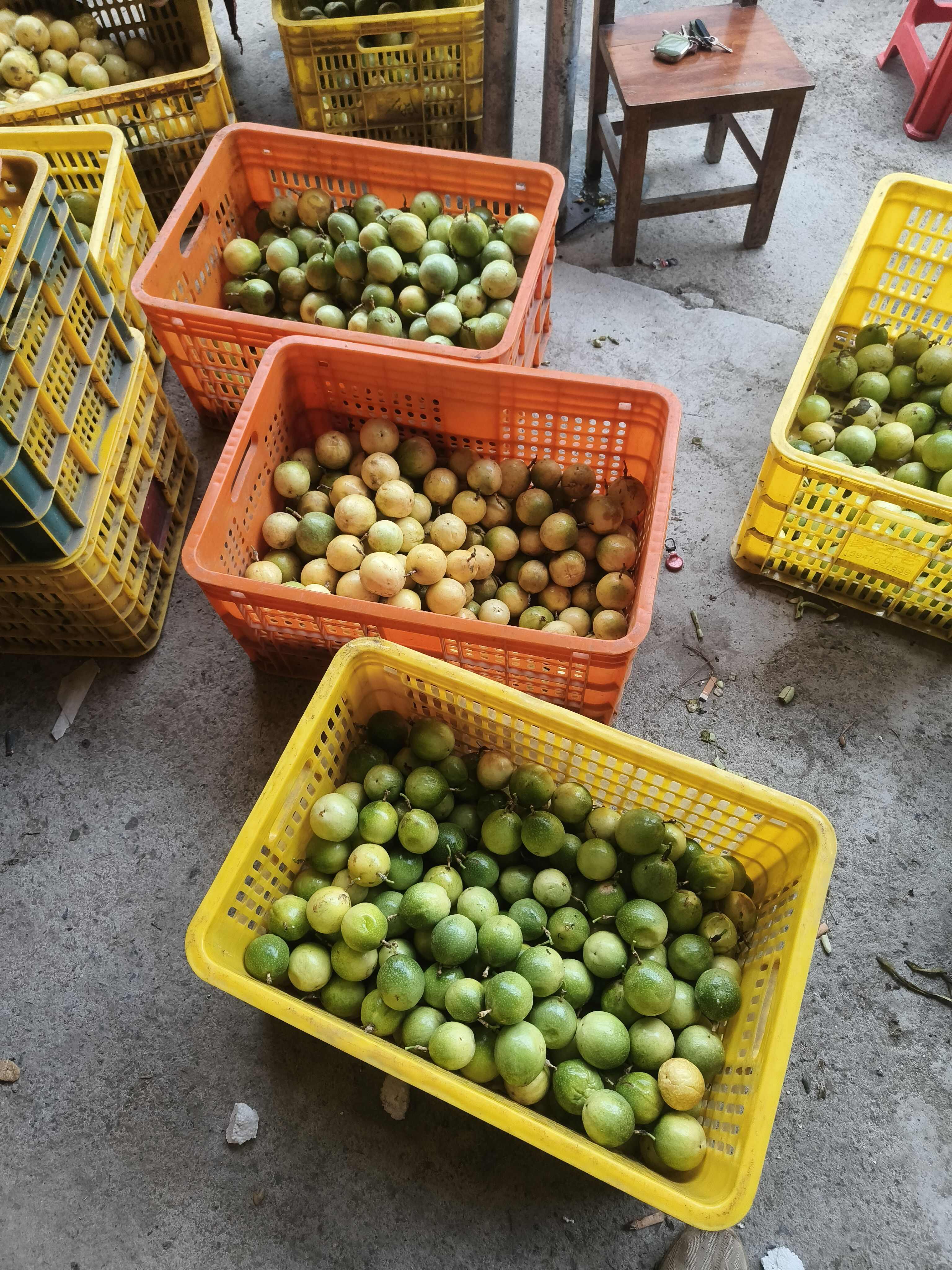 广西岑溪黄金百香果产地直发