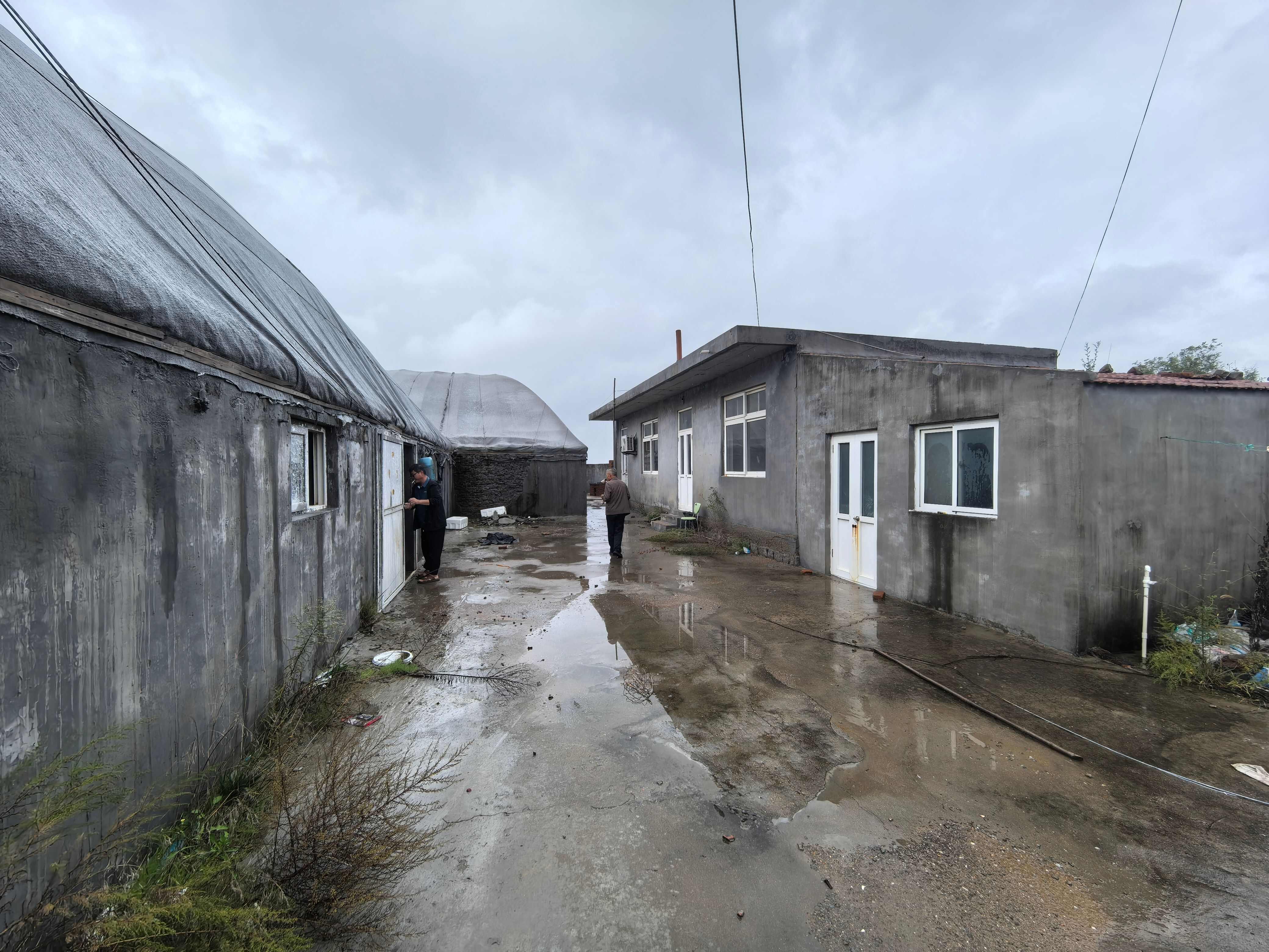 青岛市即墨区田横省级旅游度假区养殖大棚出租或出售