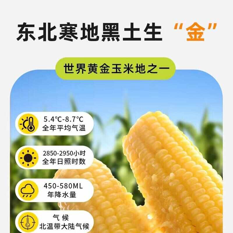 东北粘糯玉米(一件代发)包装随机