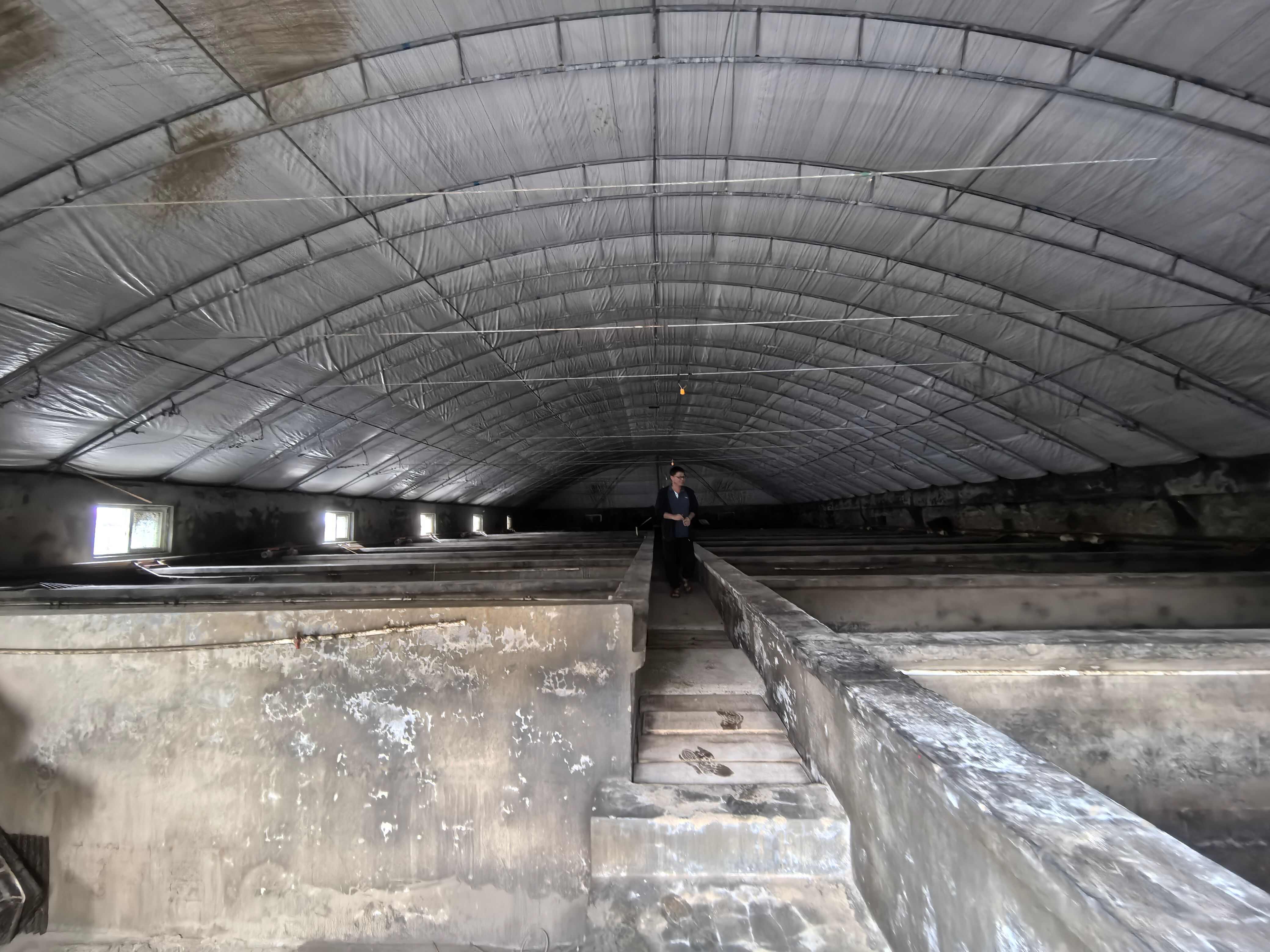 青岛市即墨区田横省级旅游度假区养殖大棚出租或出售