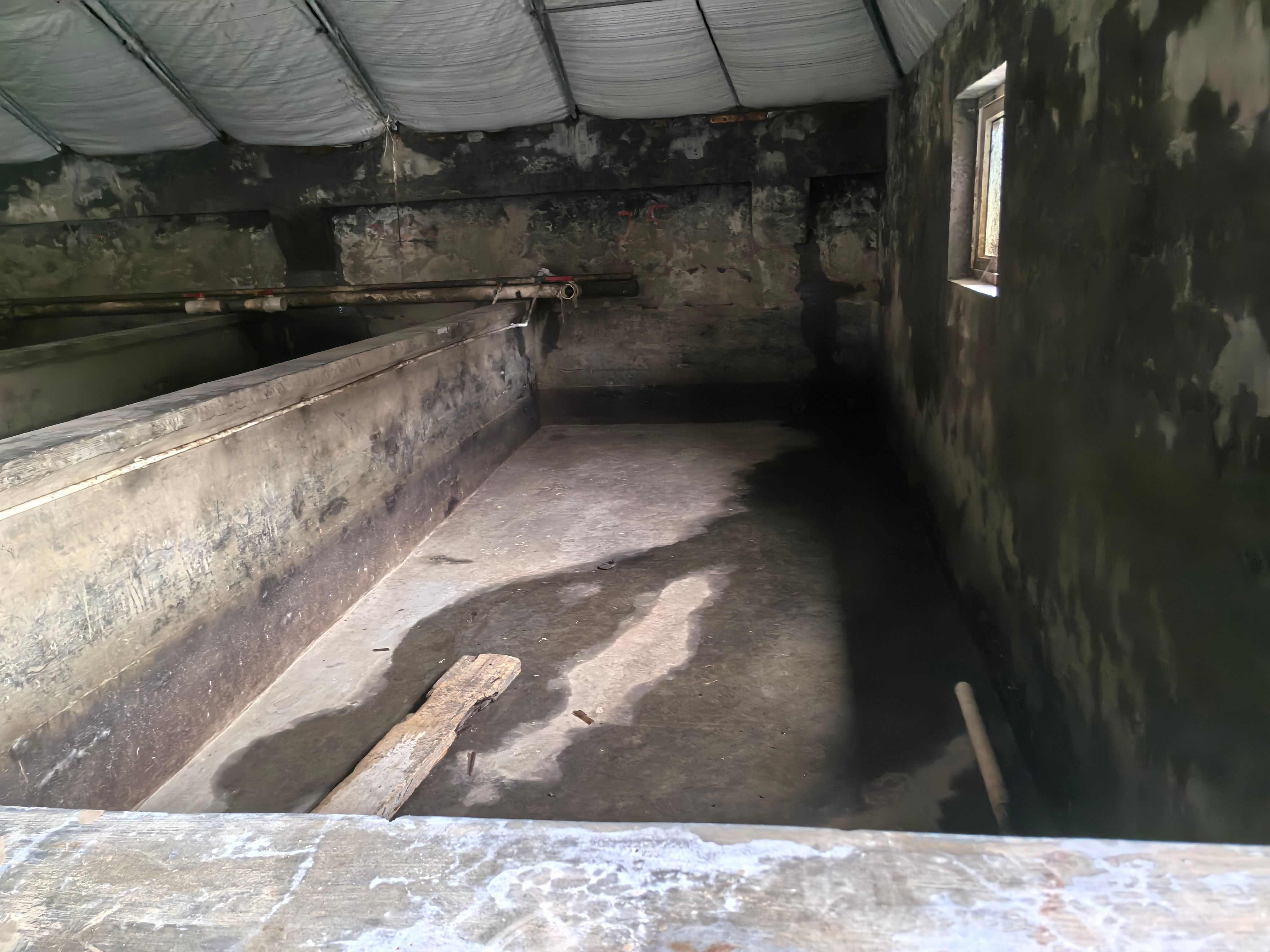 青岛市即墨区田横省级旅游度假区养殖大棚出租或出售