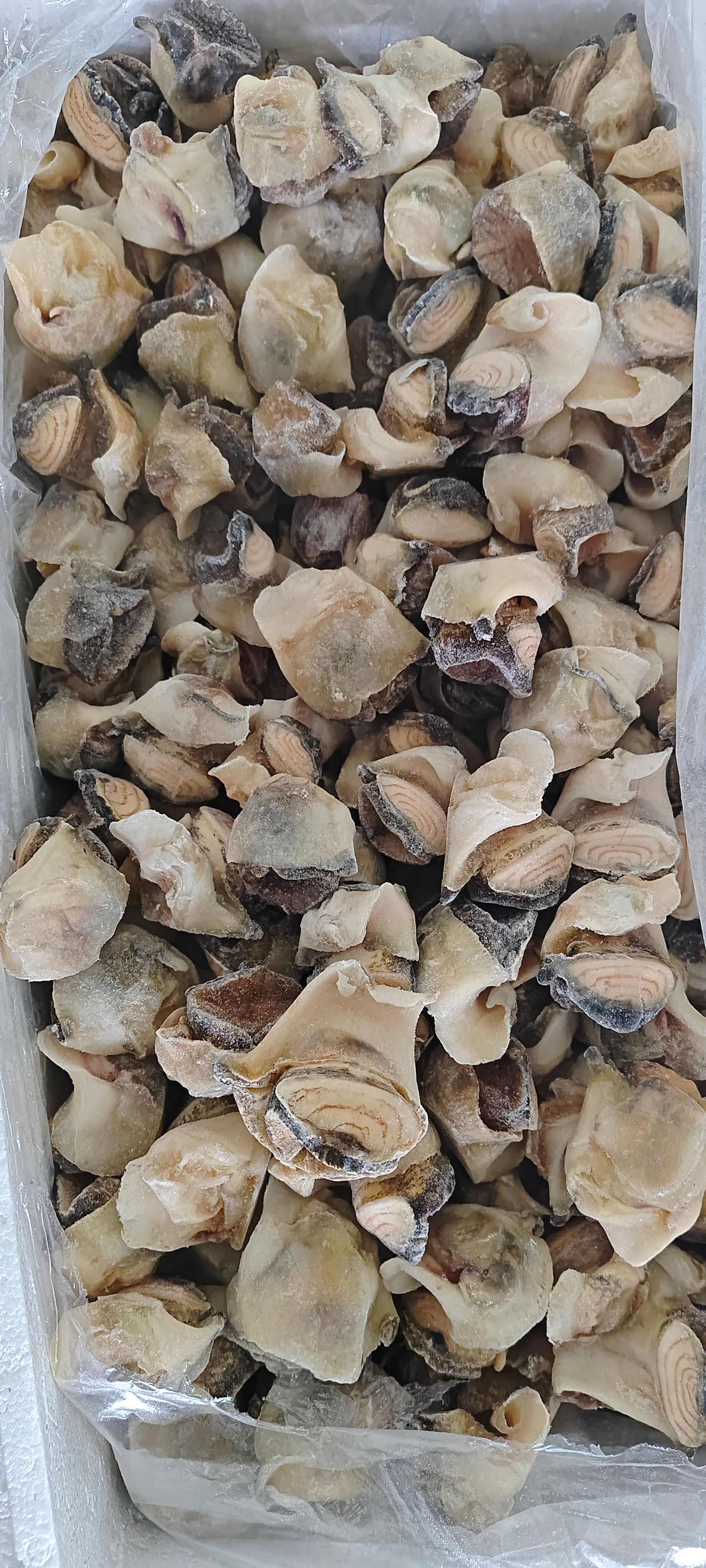 熟冻海螺肉
