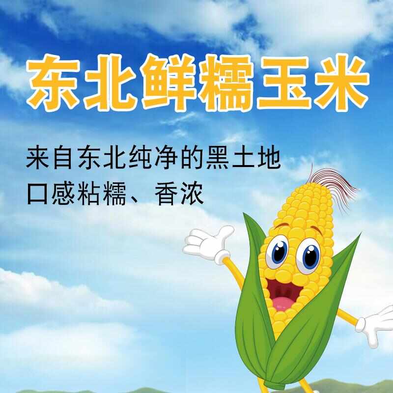 东北粘糯玉米(一件代发)包装随机
