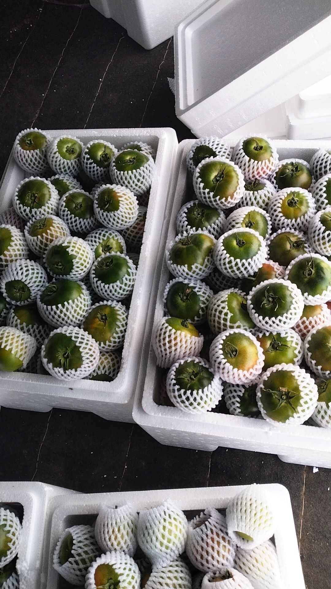 草莓西红柿，铁皮柿子
