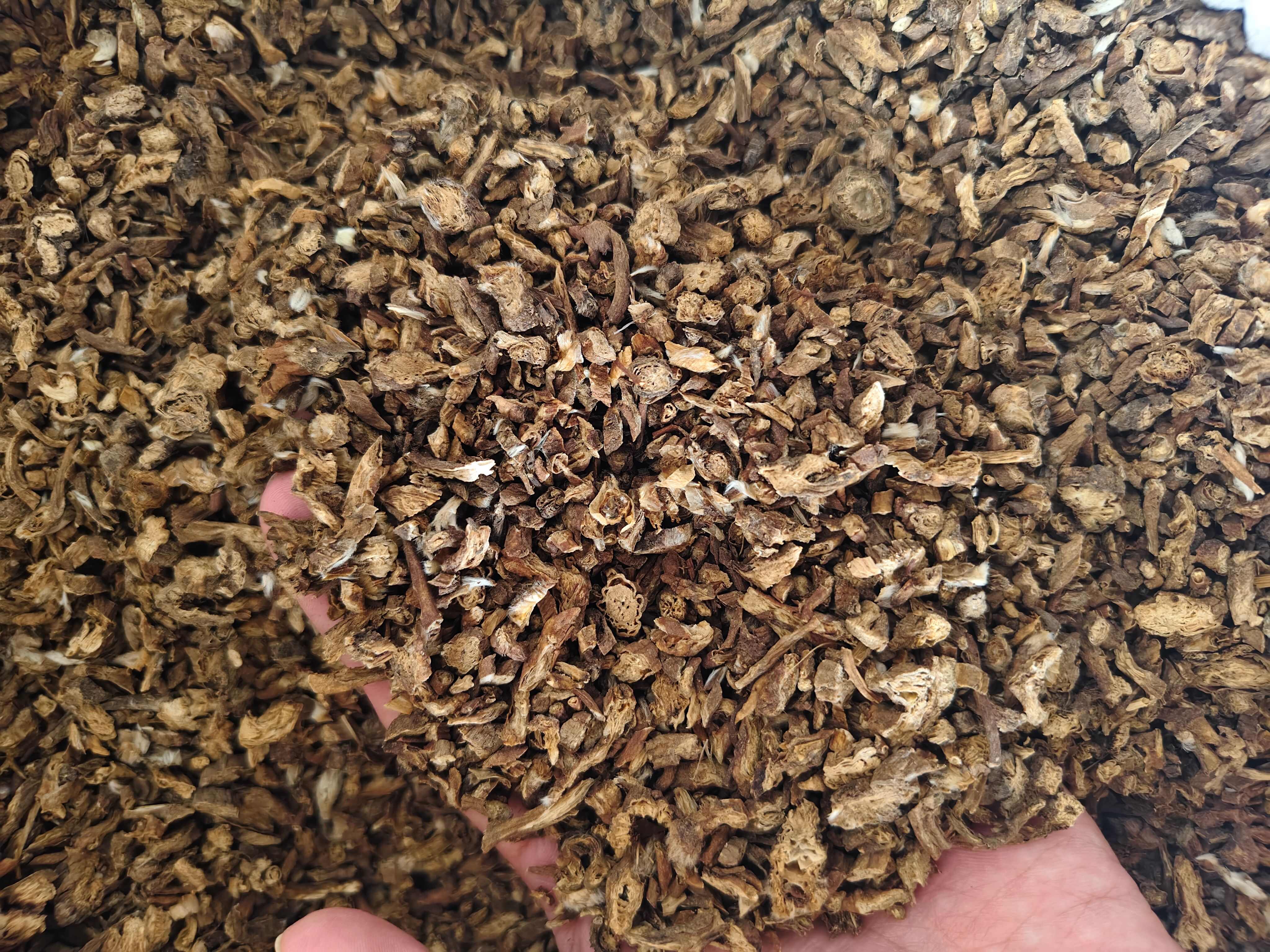 白头翁 各种规格白头翁是 批发零售