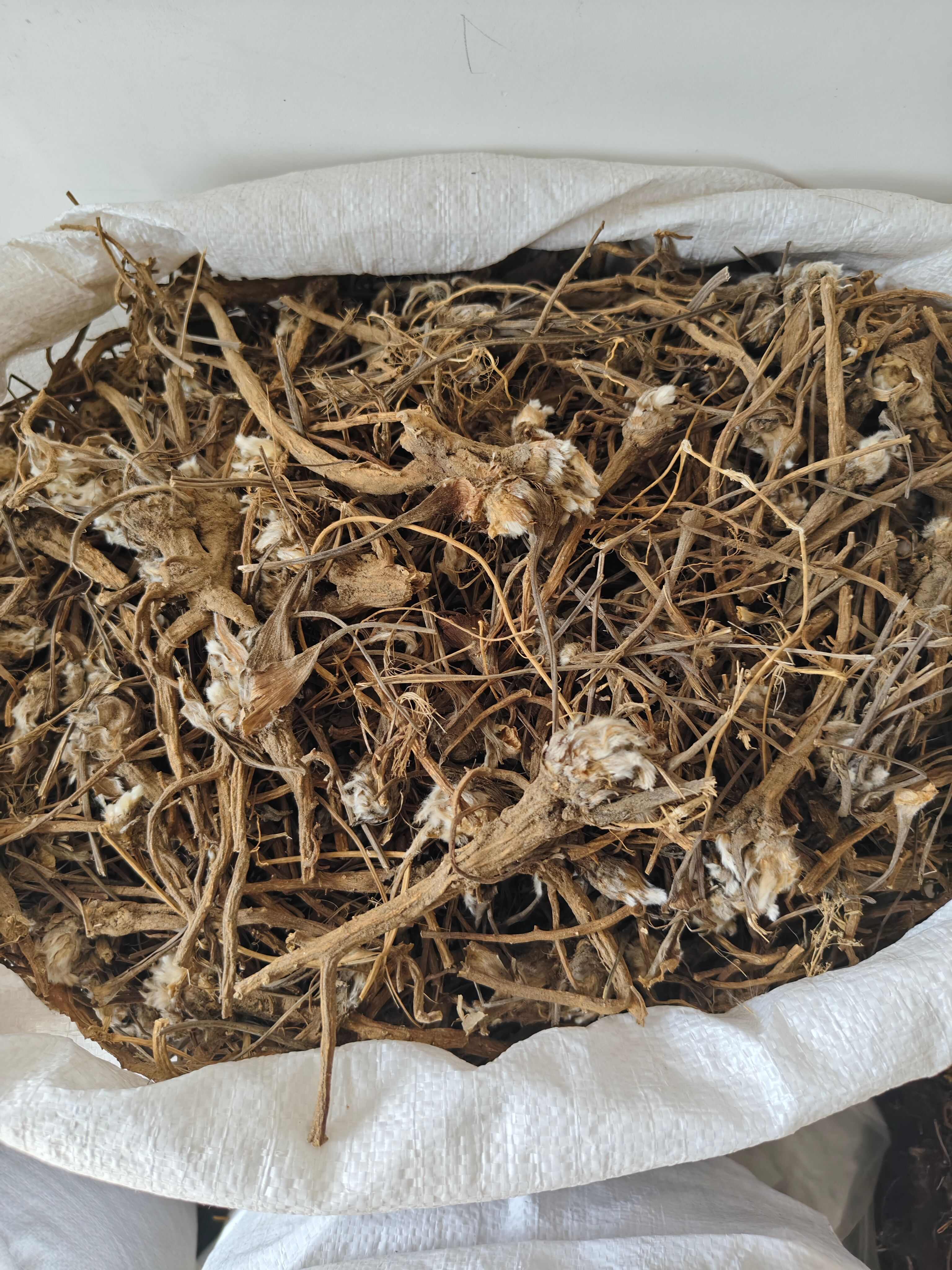 白头翁 各种规格白头翁是 批发零售