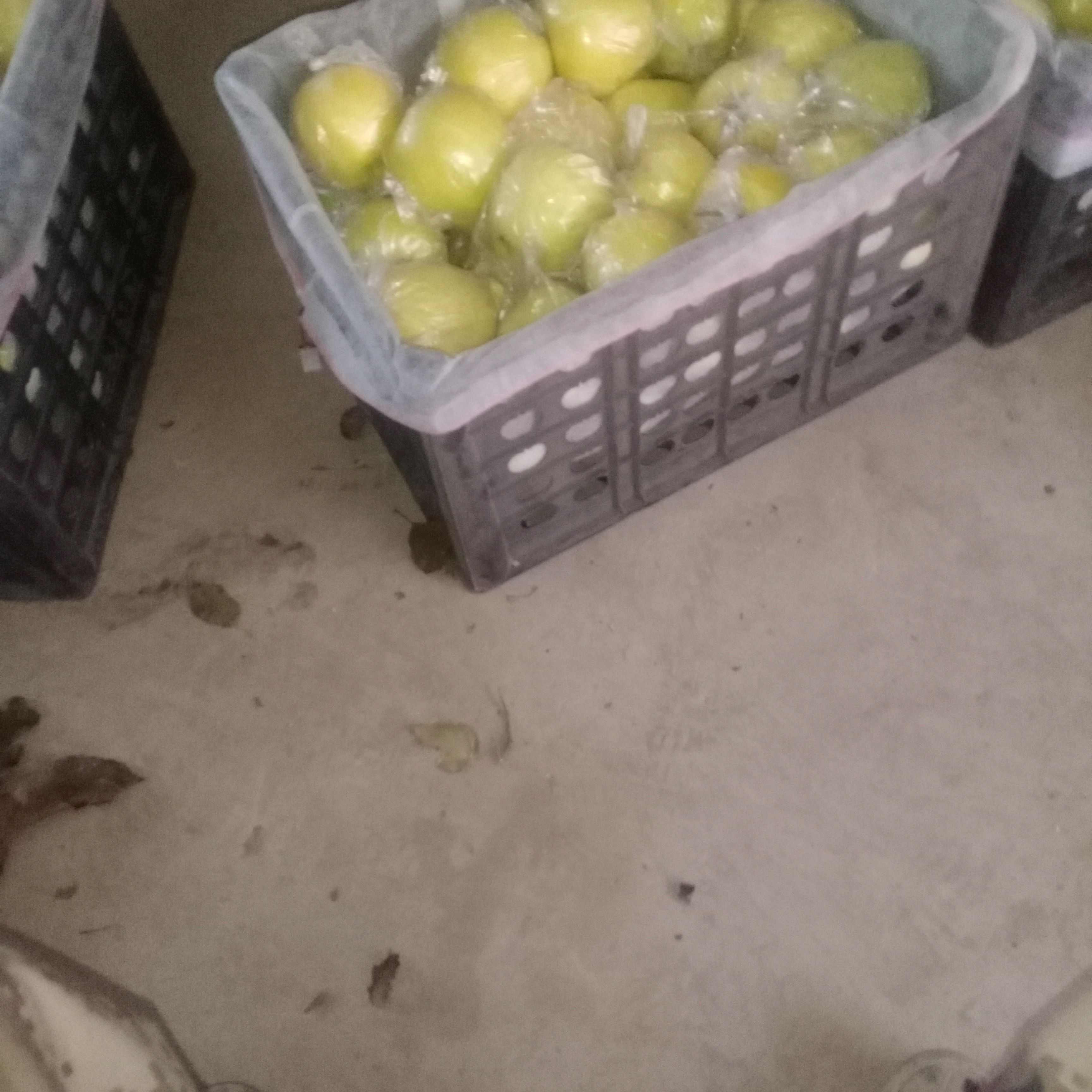 苹果