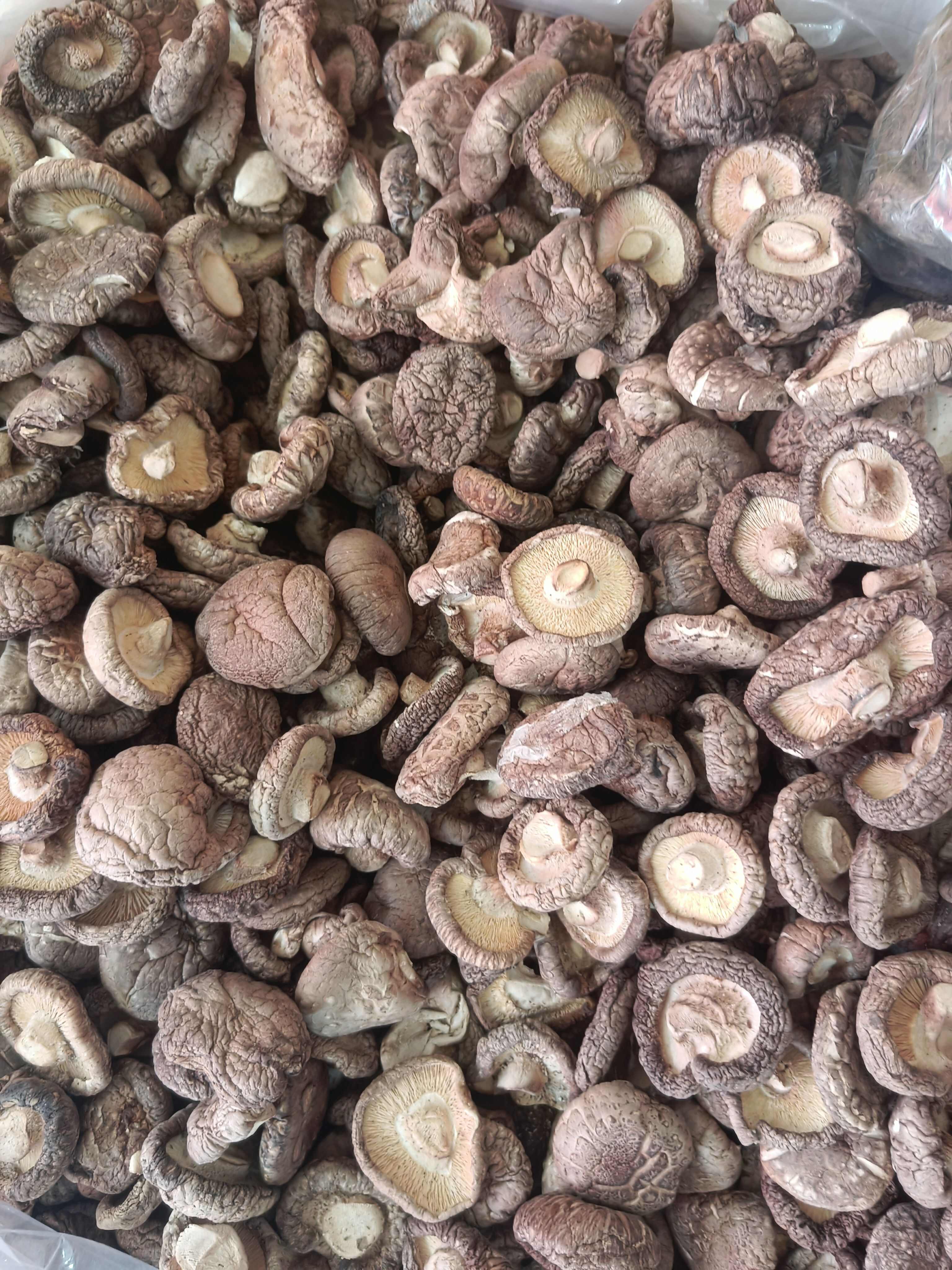 -精选香菇干货 菌盖厚实纹理密 自然晾晒 香味醇厚