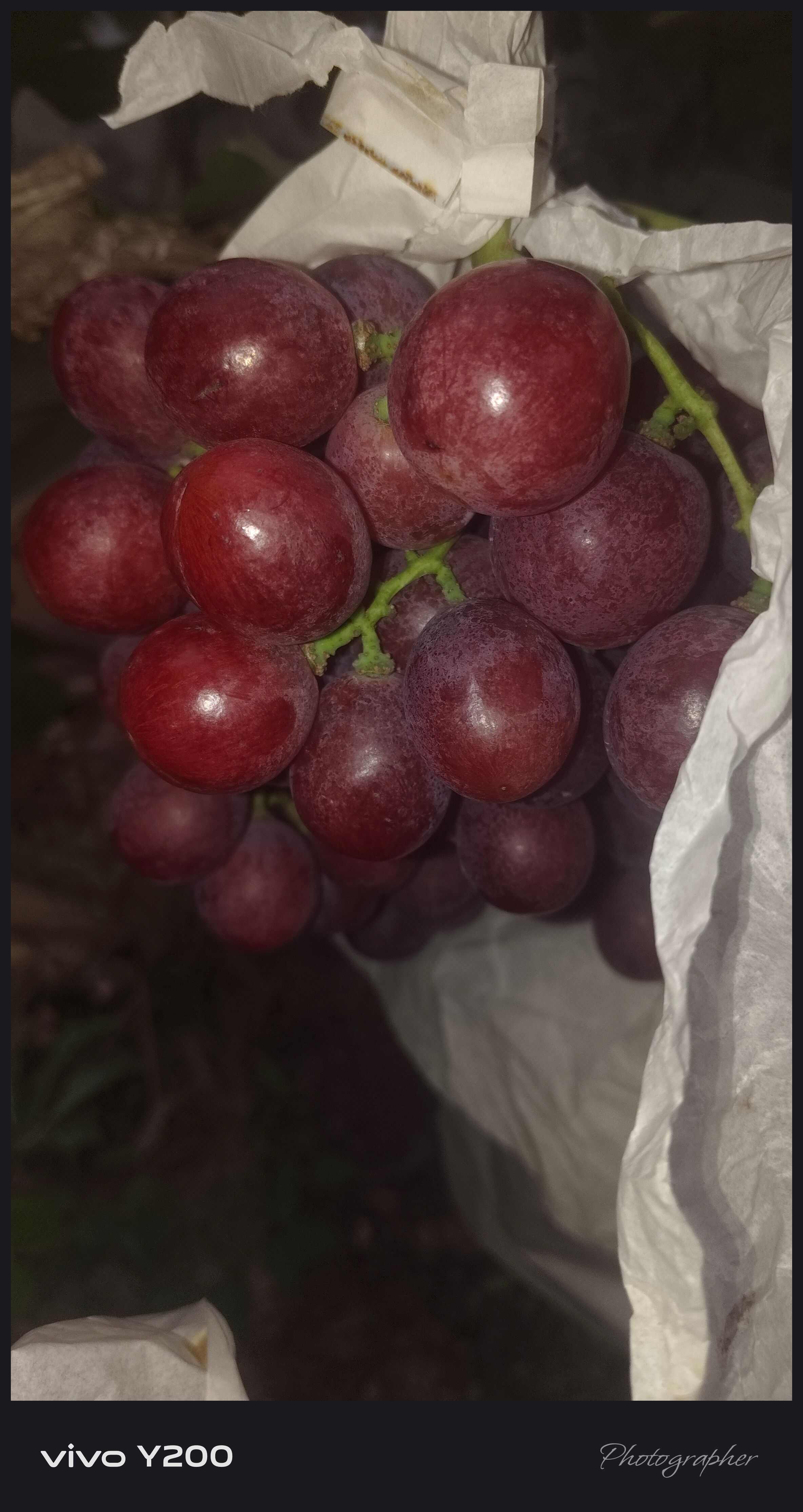 红提