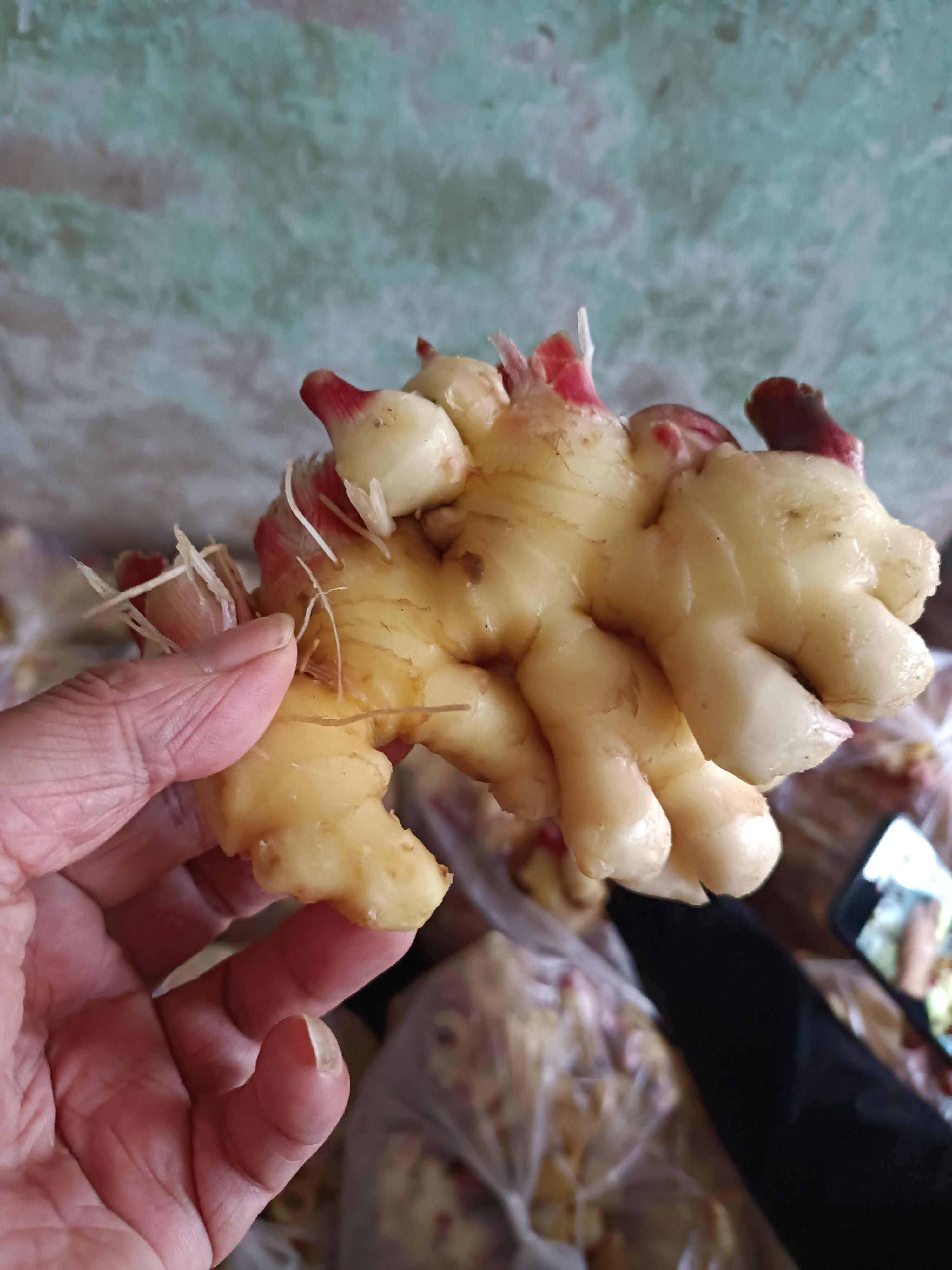 生姜产地直销，商超货质量好，一手货源