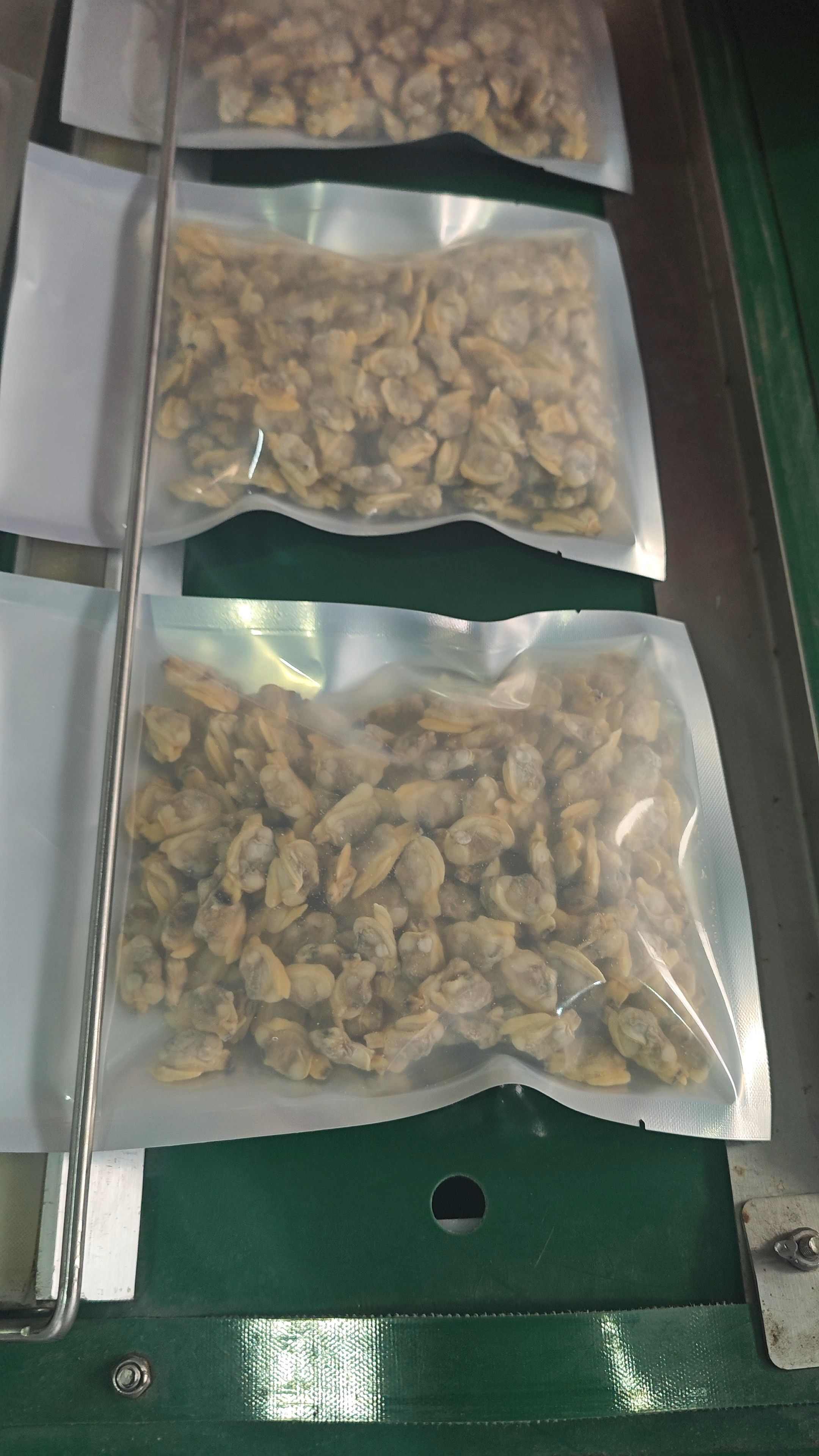 花甲肉，蛤蜊肉，精品优惠价，电商团购