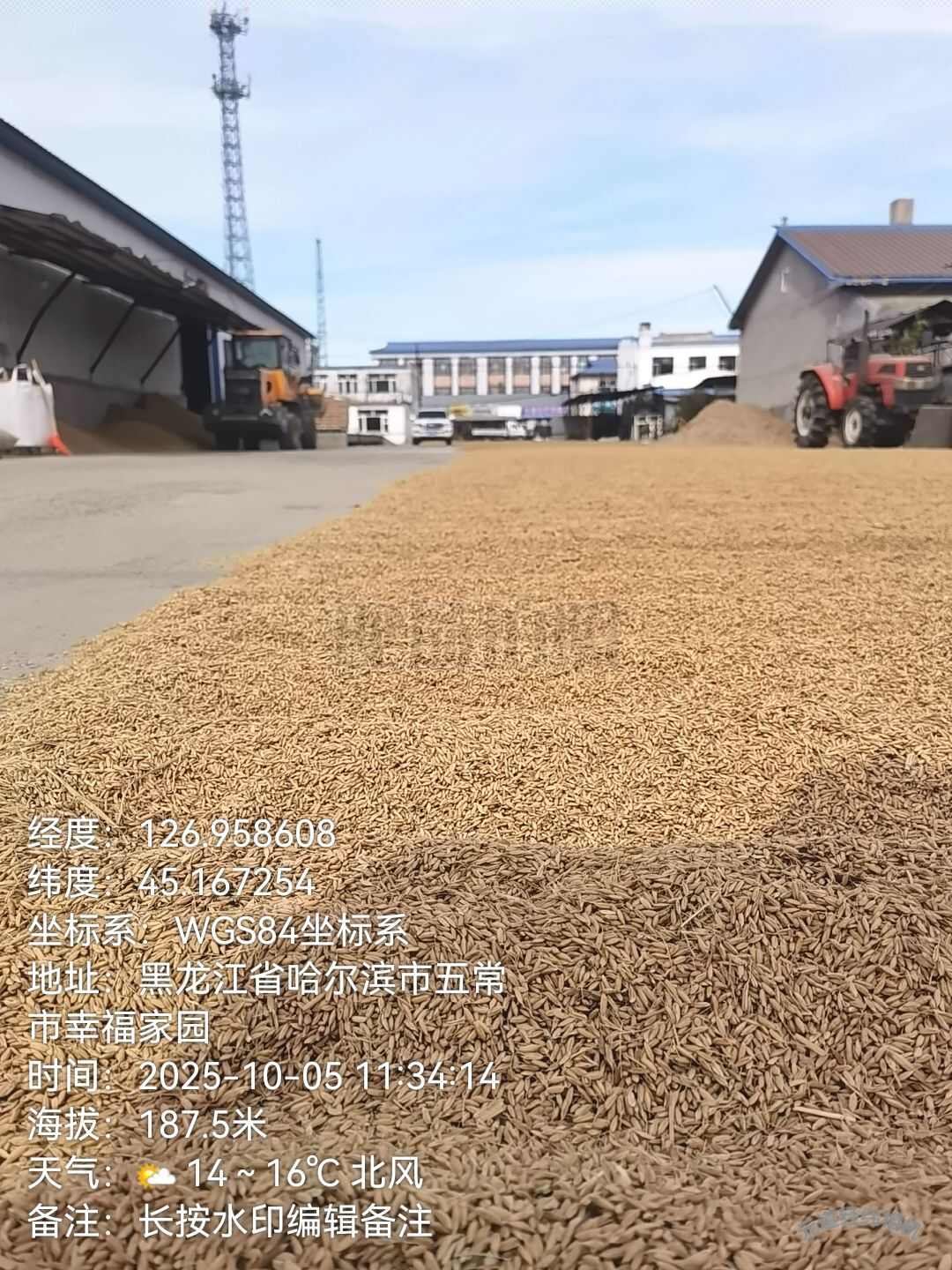 五常嘎嘎纯的稻花香水稻，中科发五水稻！