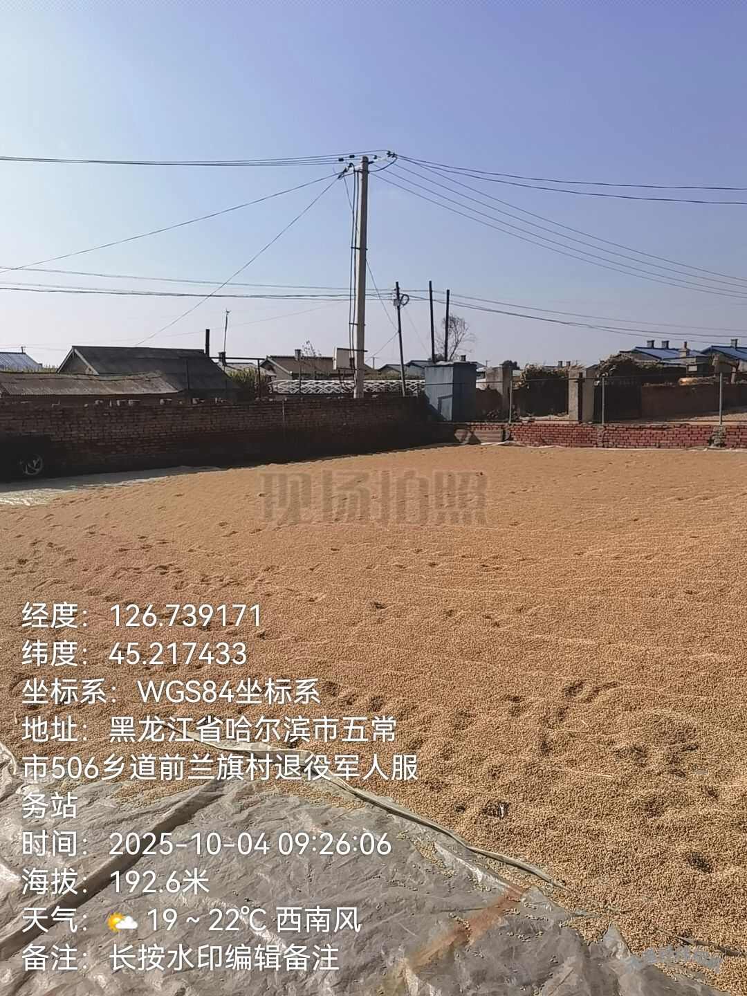 五常嘎嘎纯的稻花香水稻，中科发五水稻！