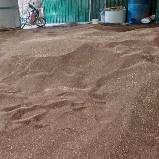 门源县天然高原油菜籽