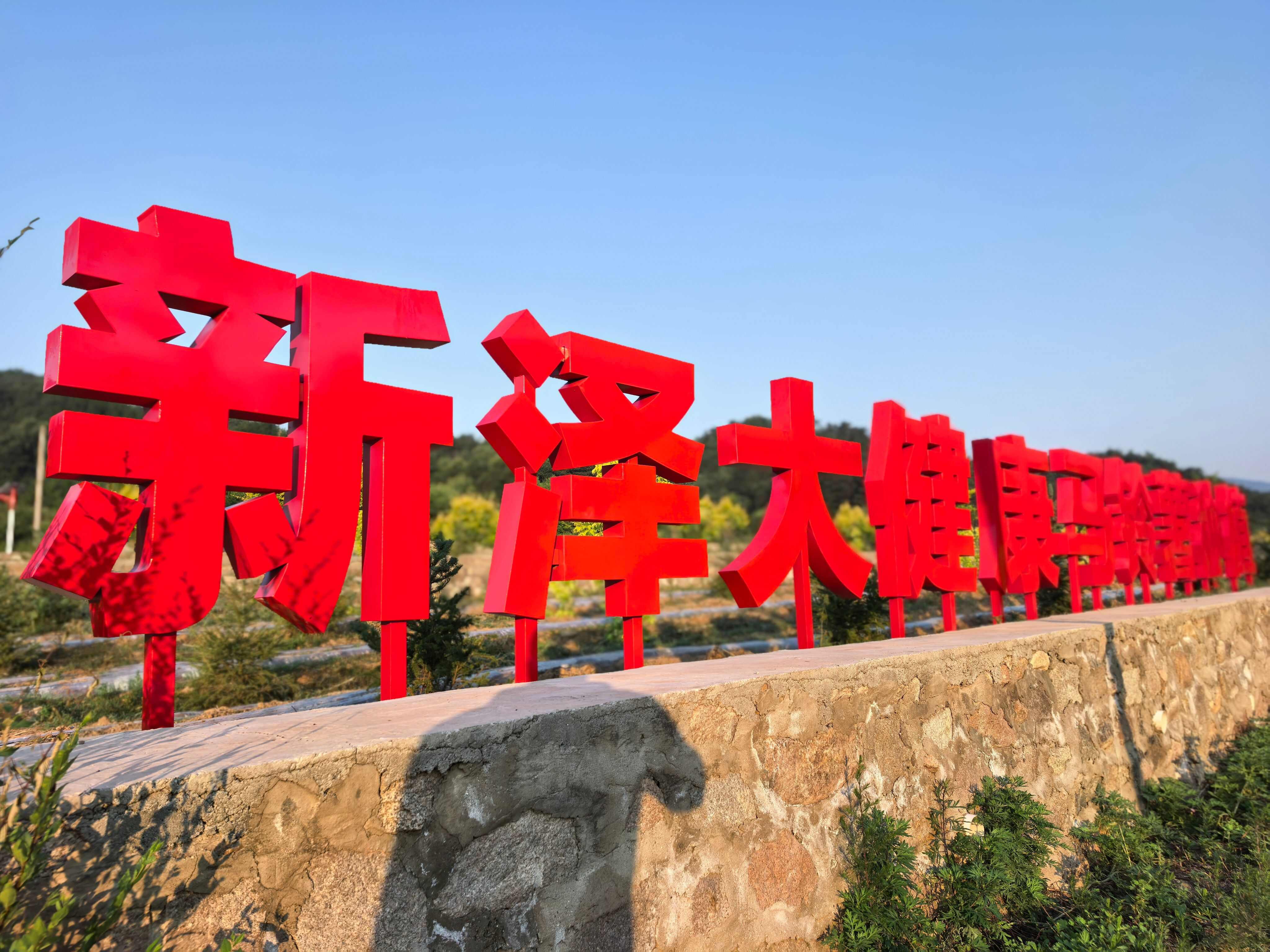 高山小土豆