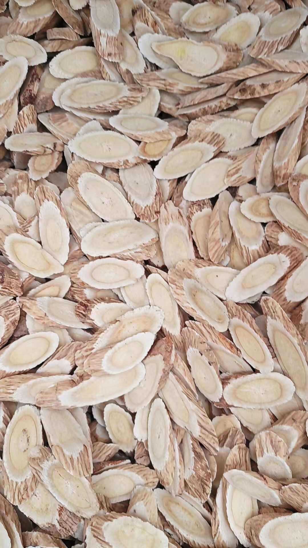 黄芪圆片指甲片