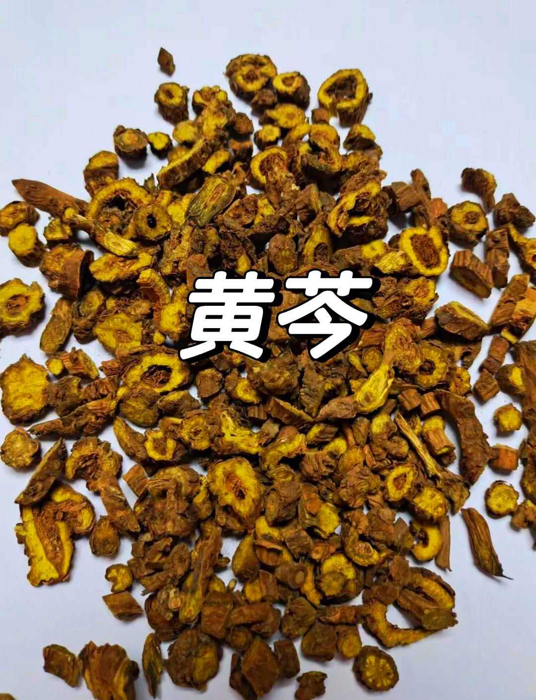 黄芩