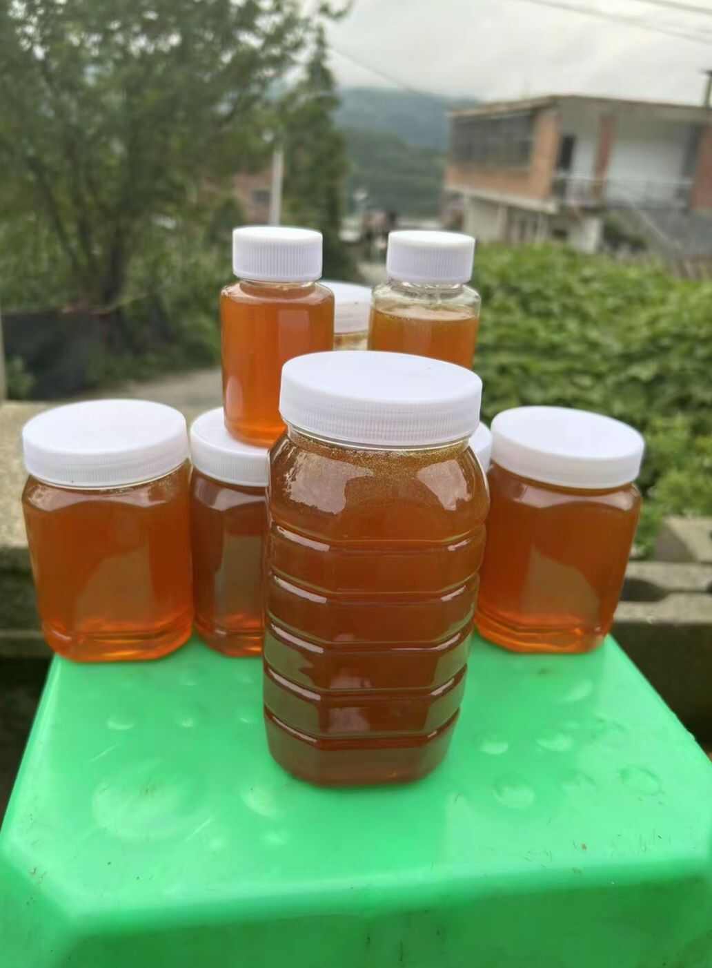 贵州农村散养蜂蜜
