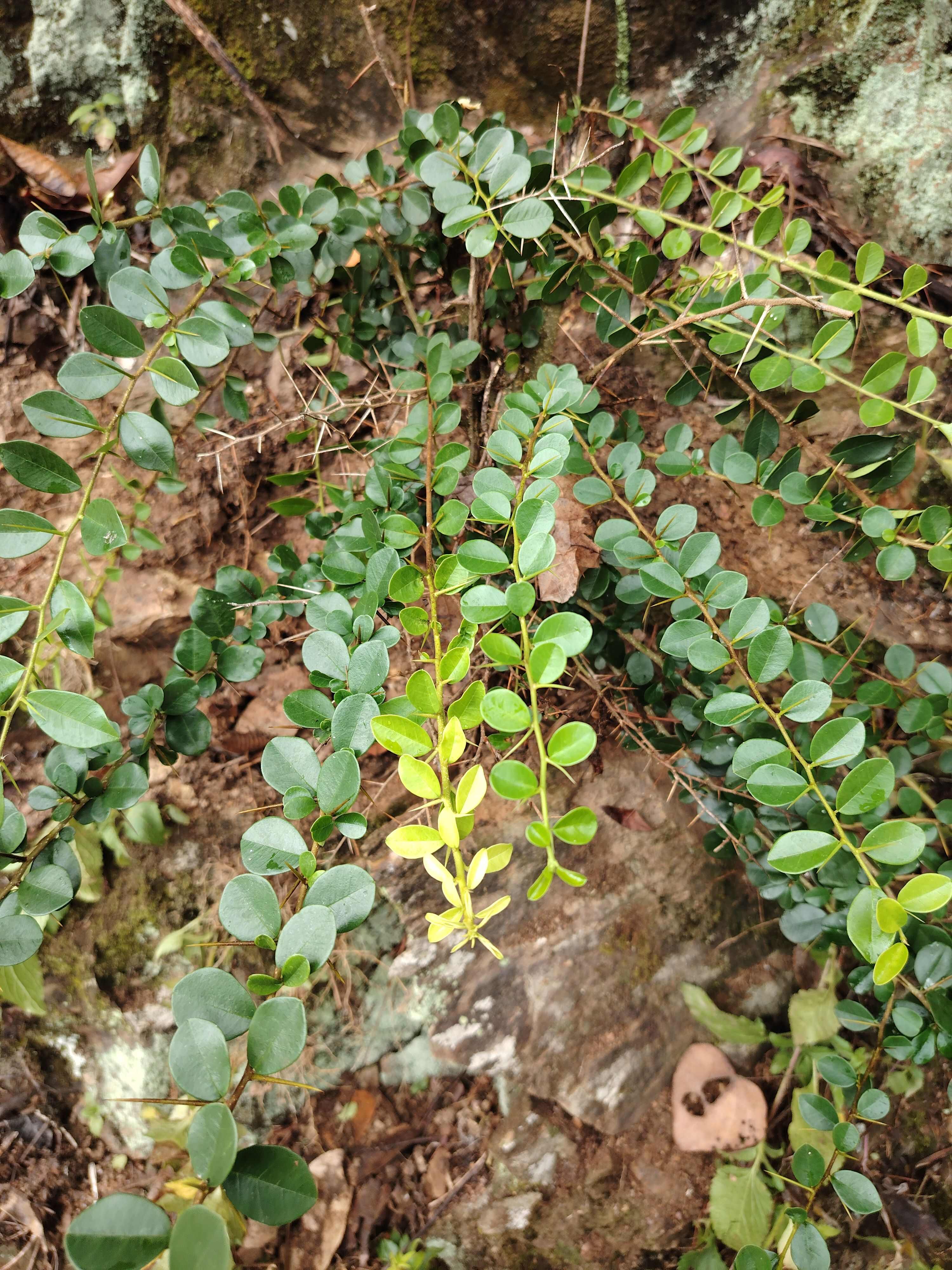 福建，穿破石