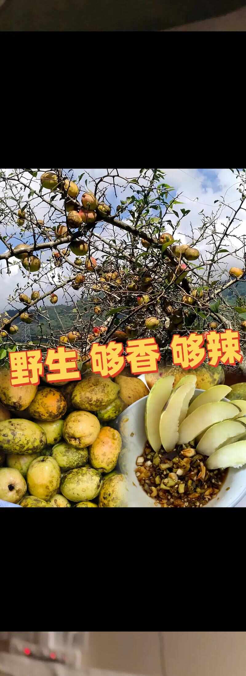 酸木瓜/云南水果/