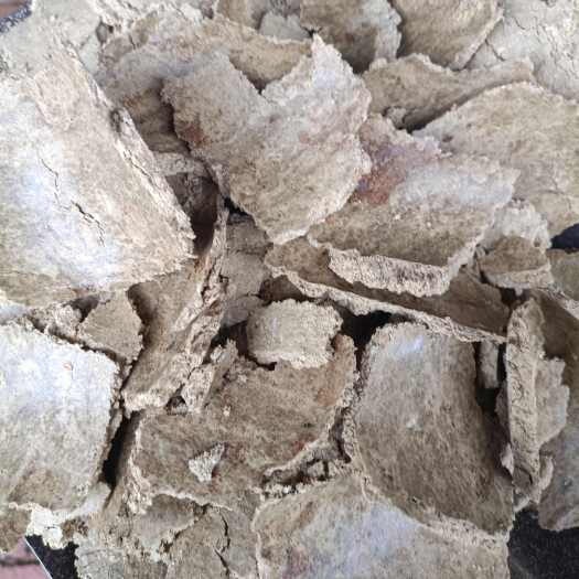 天津南瓜子饼，育肥牛，羊猪鸡鸭鹅，