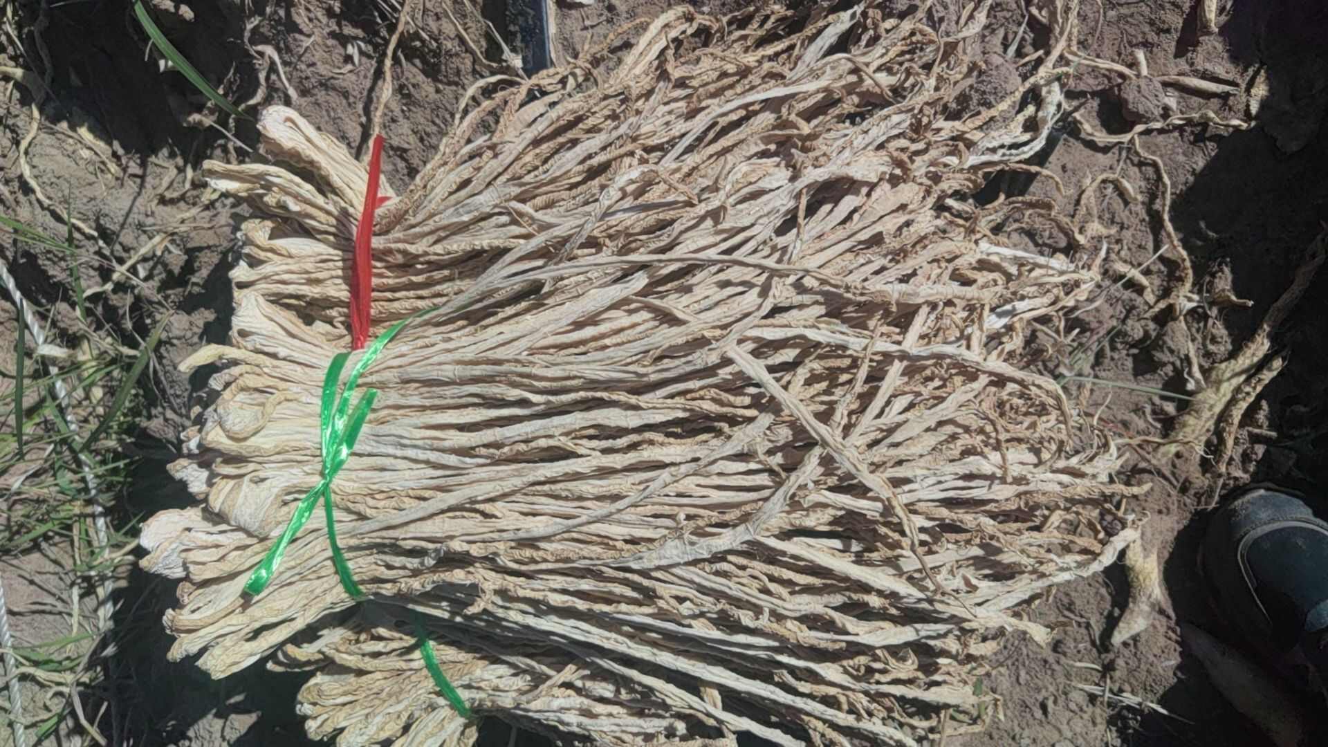 大量出售五把刀萝卜条