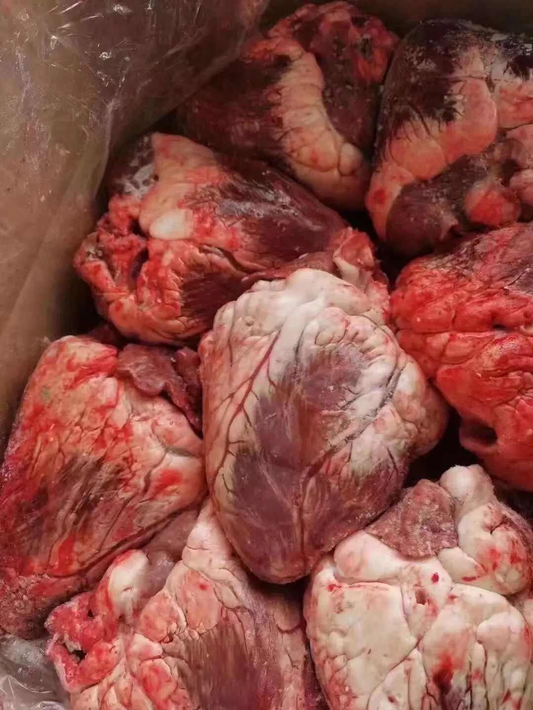 牛副产品 精品冷冻牛心 肉质紧实 优质蛋白 去油修剪烧烤卤煮
