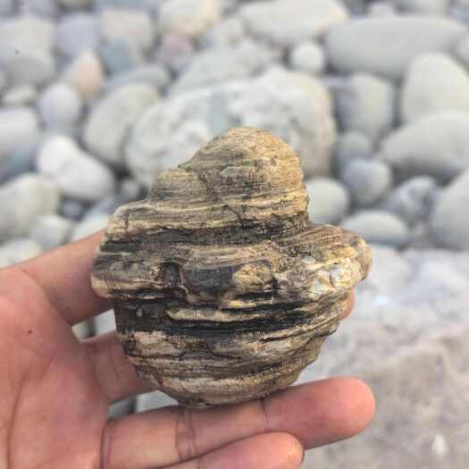 曲阳县天然水冲千层奇石鱼缸造景庭院装饰摆件太行山奇石鱼缸大石头