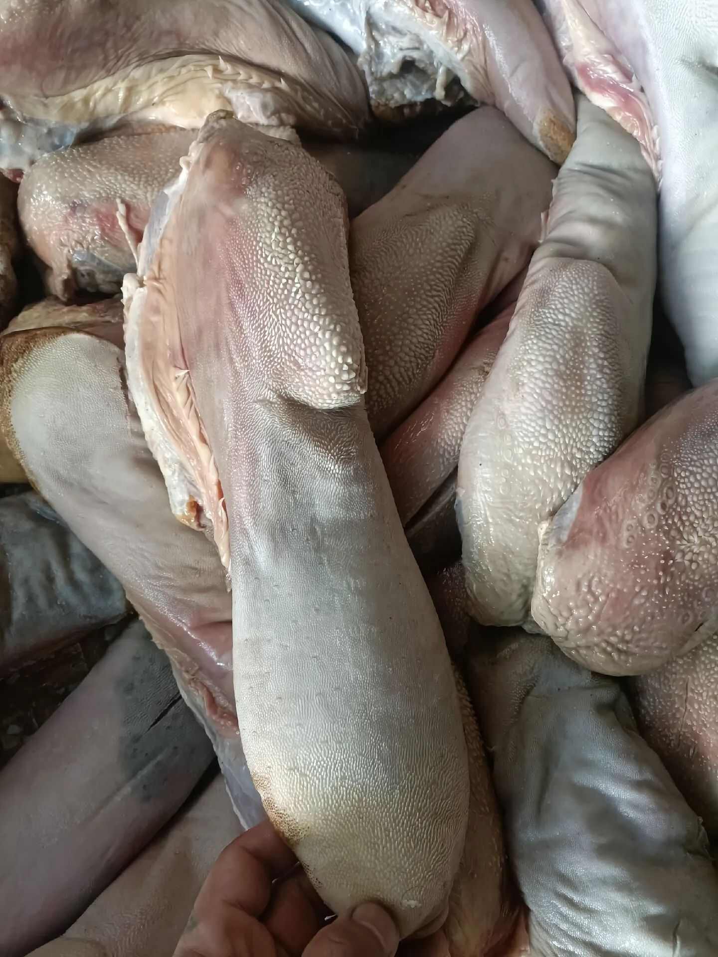 牛副产品 级软嫩多汁 精修整条牛舌 高端食材