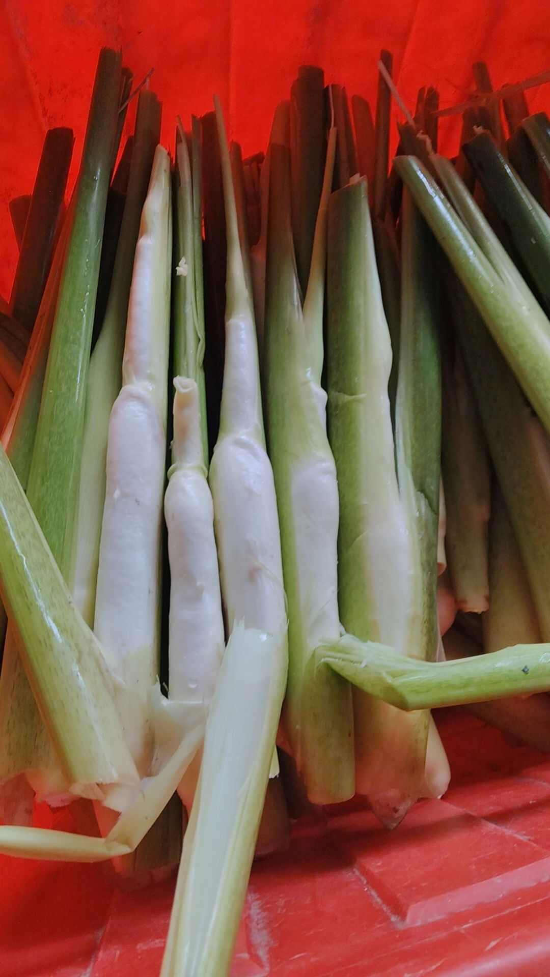 电商茭白，皮薄肉多，白度光度都不错！