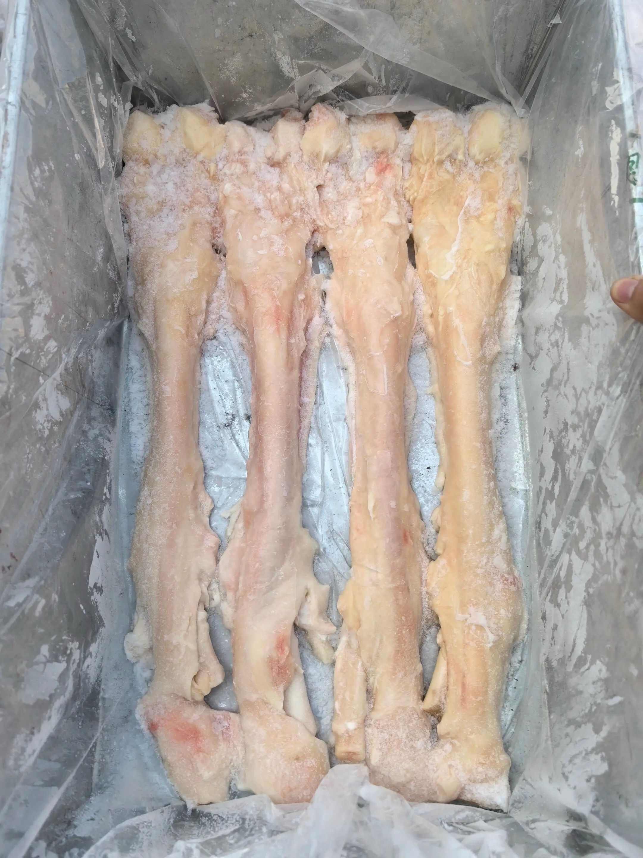 牛副产品 软糯Q弹 胶质满满 鲜冻牛蹄筋 红烧炖汤