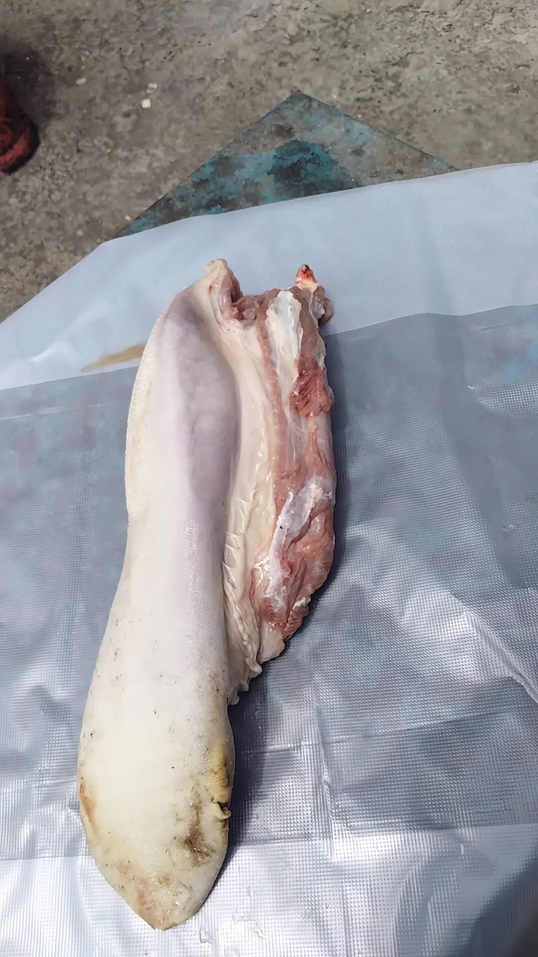 牛副产品 级软嫩多汁 精修整条牛舌 高端食材
