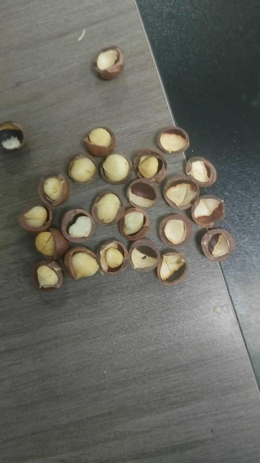 专业夏威夷果供应链，规格齐全，库存充足，价格稳定。