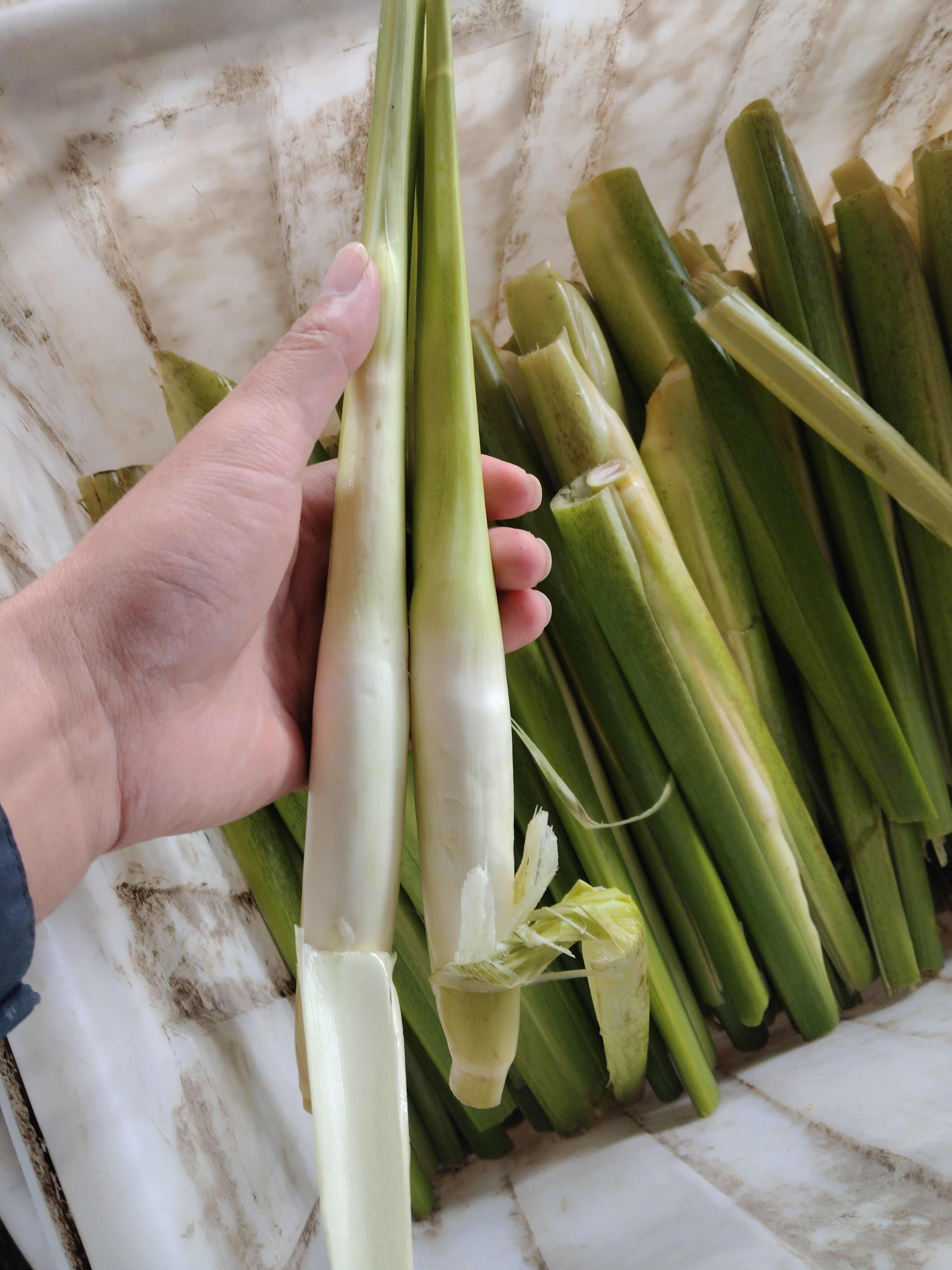 电商茭白，皮薄肉多，白度光度都不错！
